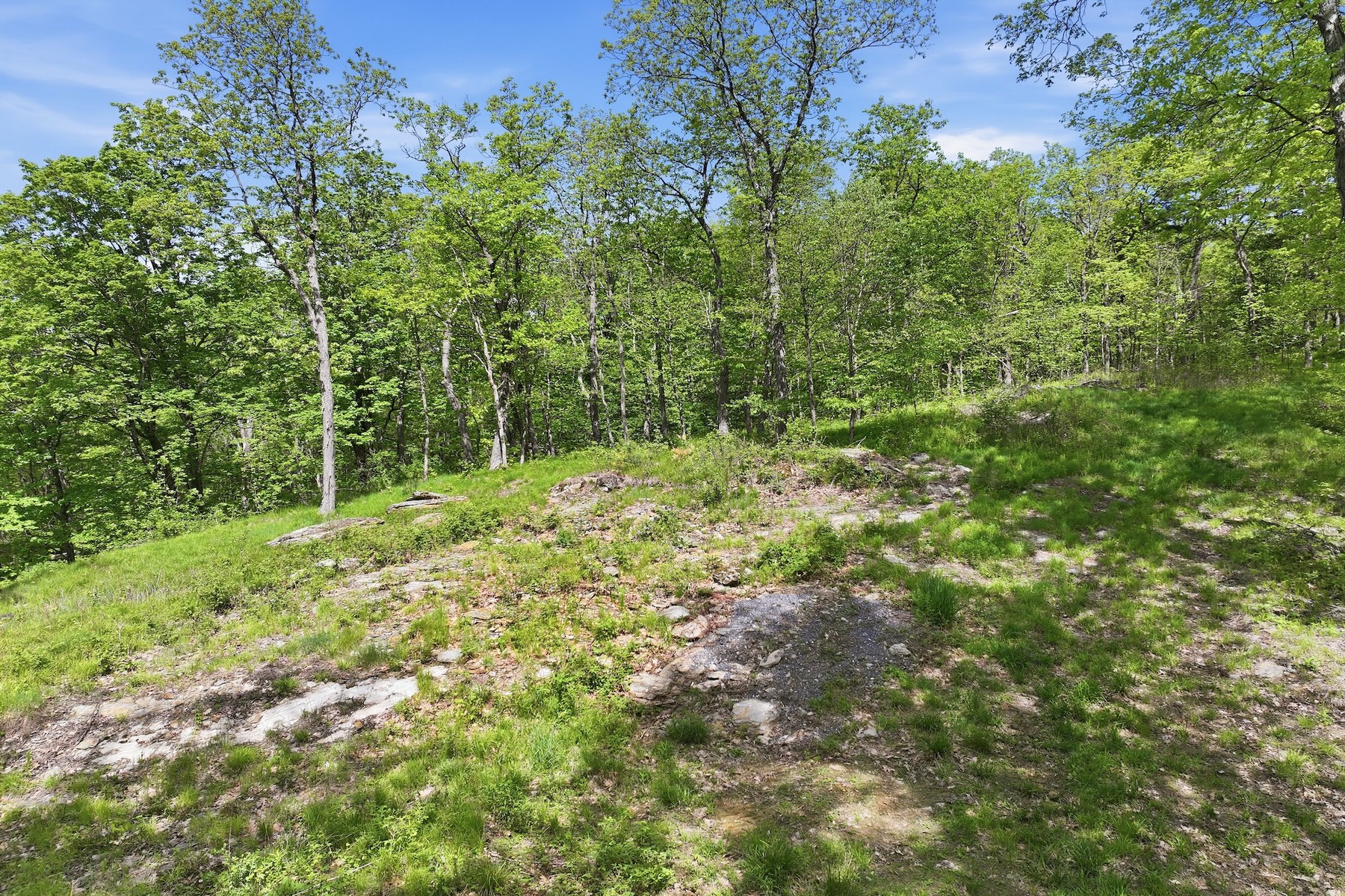  189 Shagbark Lane - 物件實景