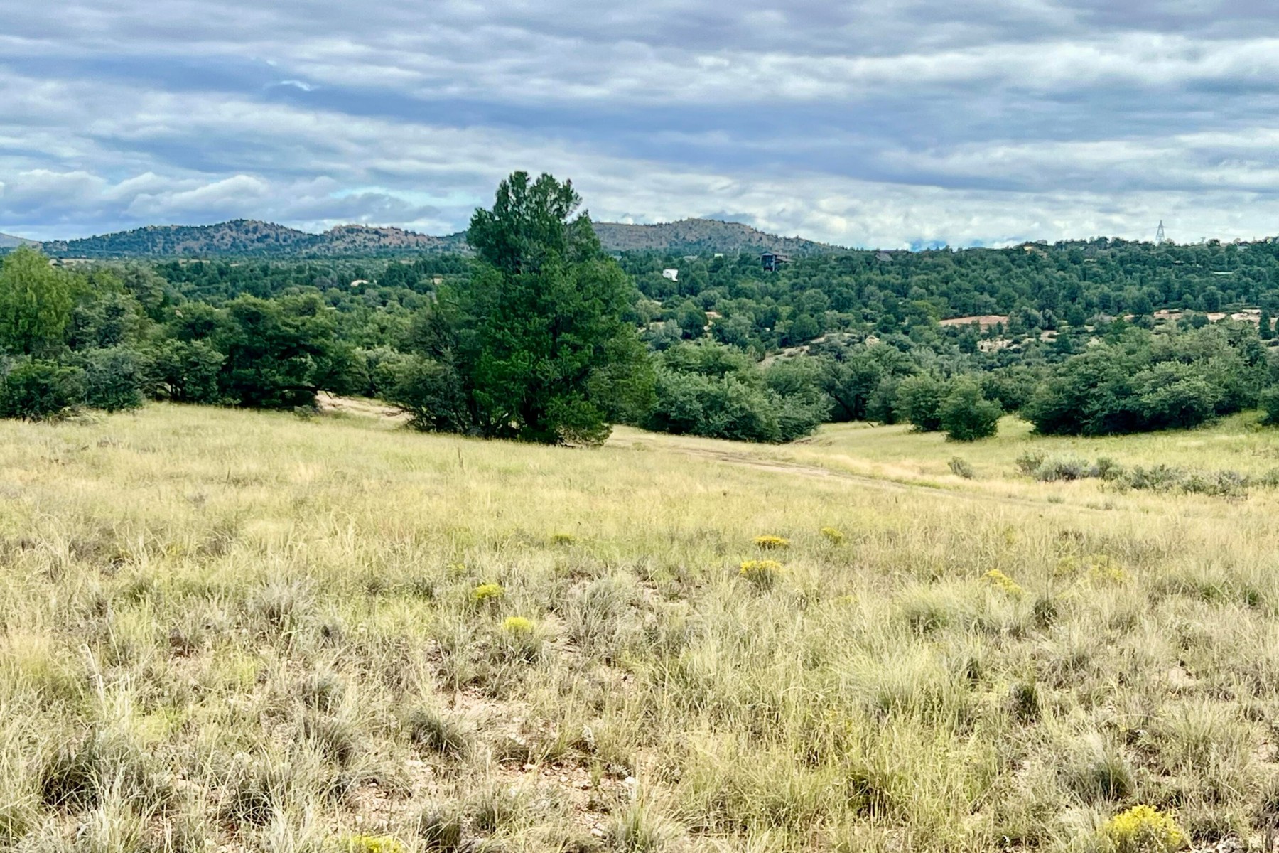  14565 N Puntenney Road¦Prescott, AZ - 物件實景