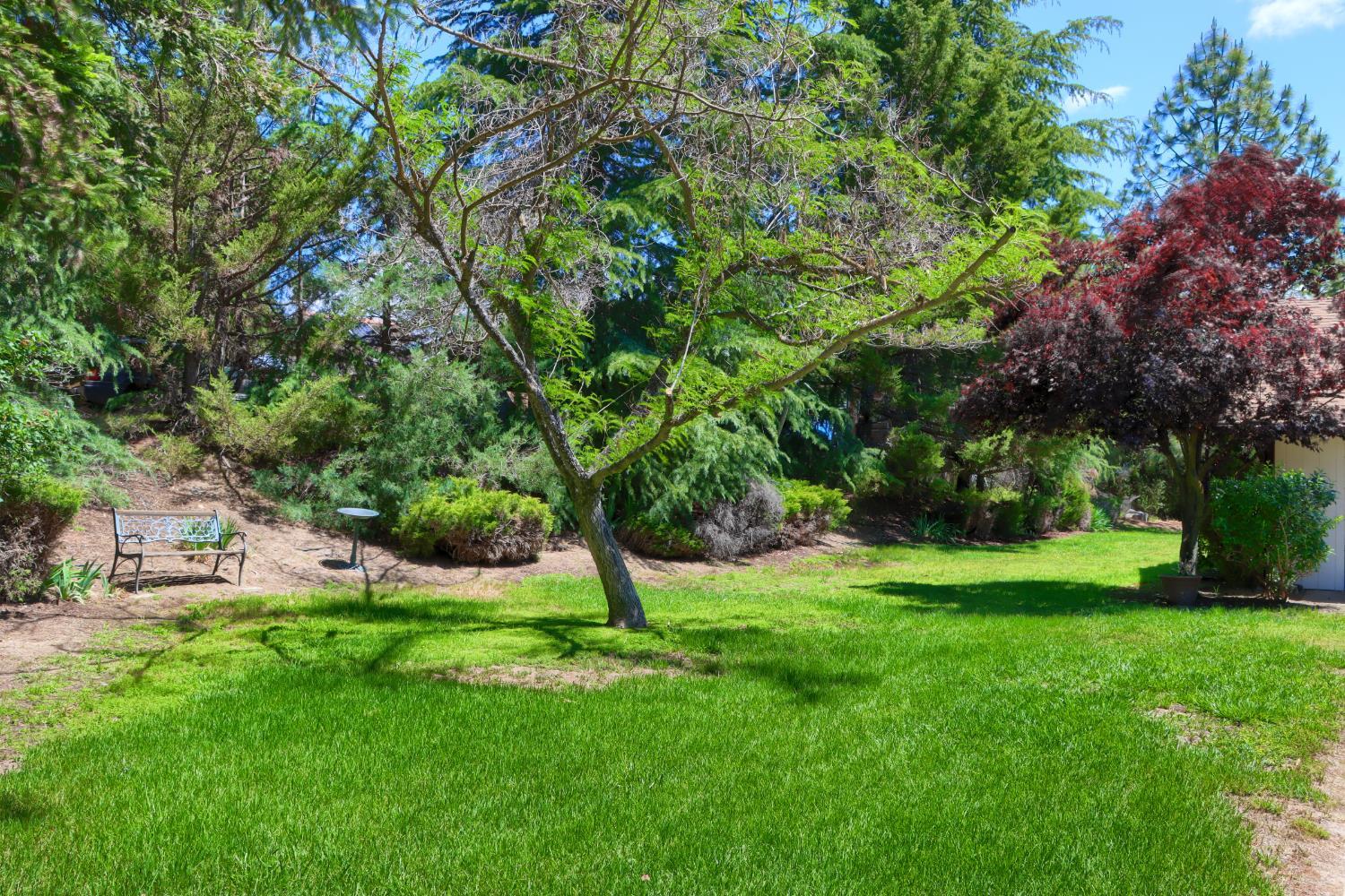 Ahwahnee, California, 93601, United States, 3 Bedrooms Bedrooms, ,2 BathroomsBathrooms,Residential,For Sale,1915922