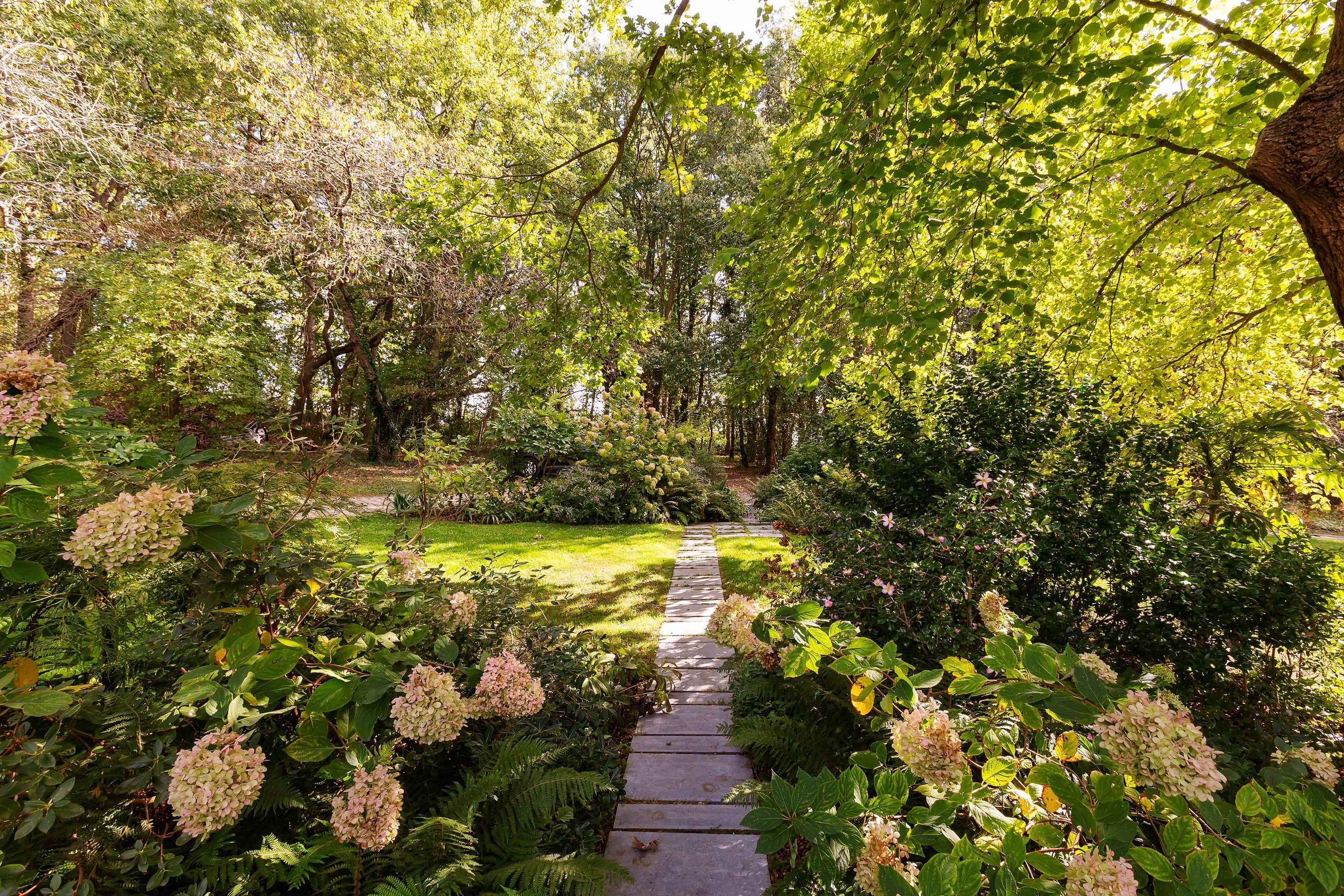  Yvelines - 78580 - Exceptional property on the outskirts of Paris - 物件實景