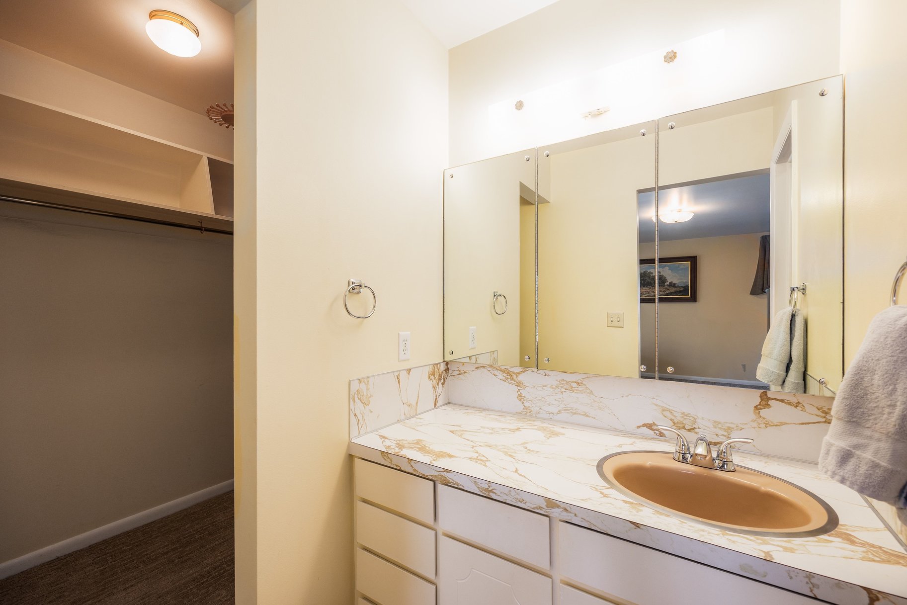  Spacious Living in an Established Springville Neighborhood - 物件實景