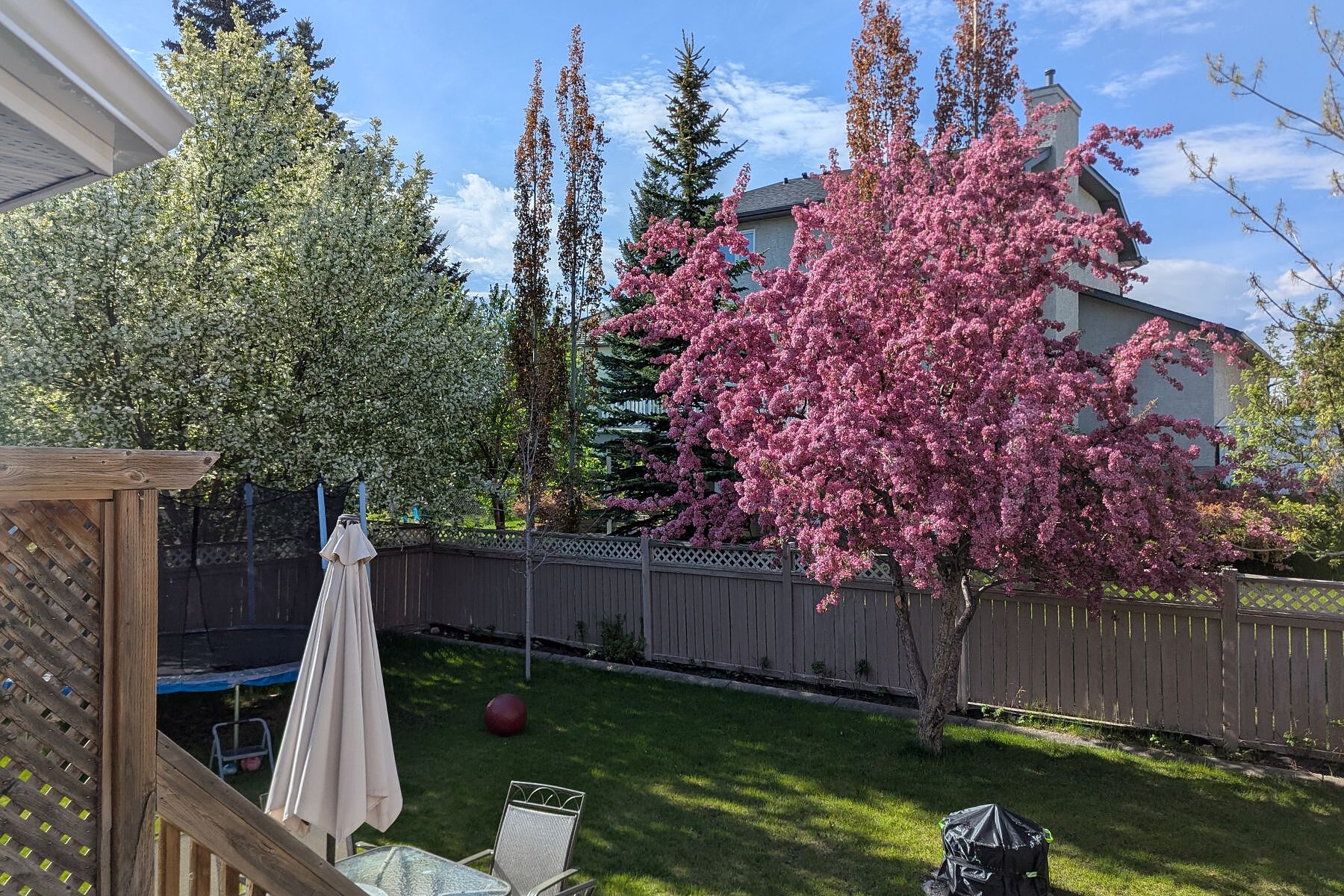  Calgary, Calgary and Foothills - 物件實景