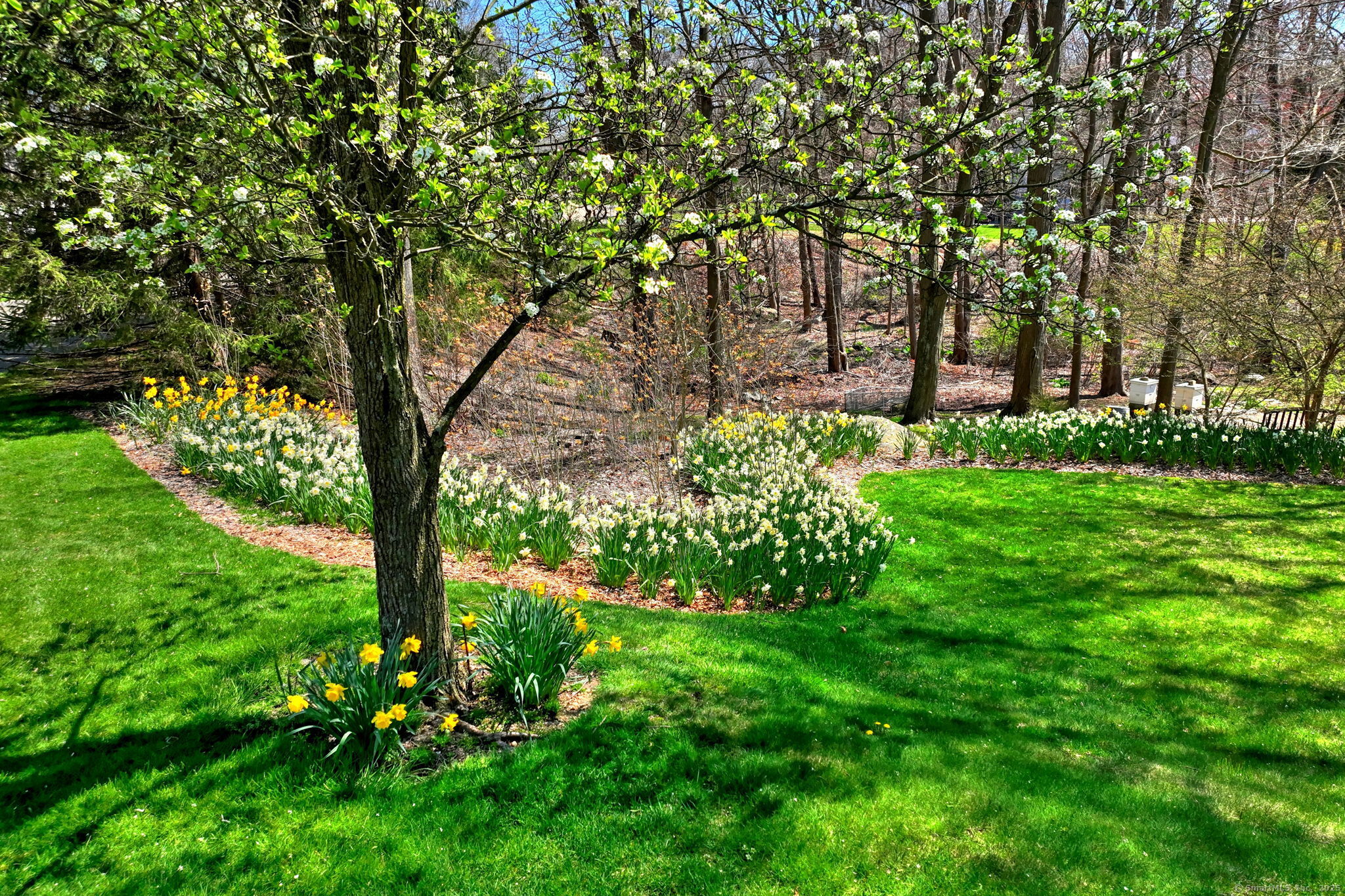 Orange, Connecticut, 06477, United States, 4 Bedrooms Bedrooms, ,4 BathroomsBathrooms,Residential,For Sale,1987664