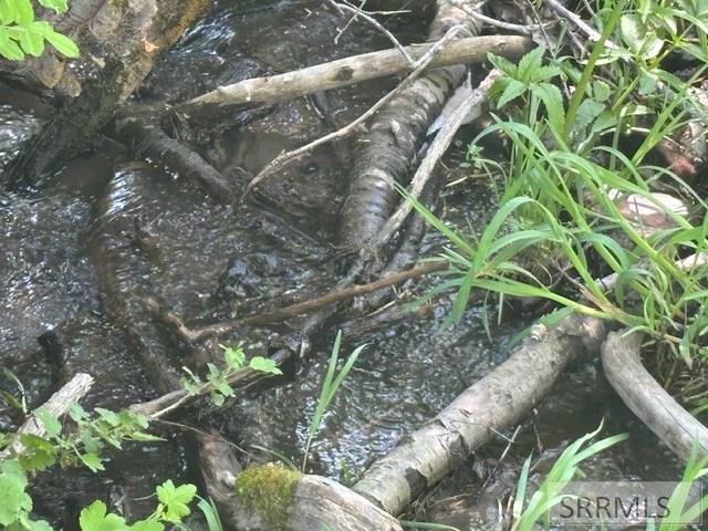 RIRIE, Idaho, 83443, United States, ,Residential,For Sale,1974893