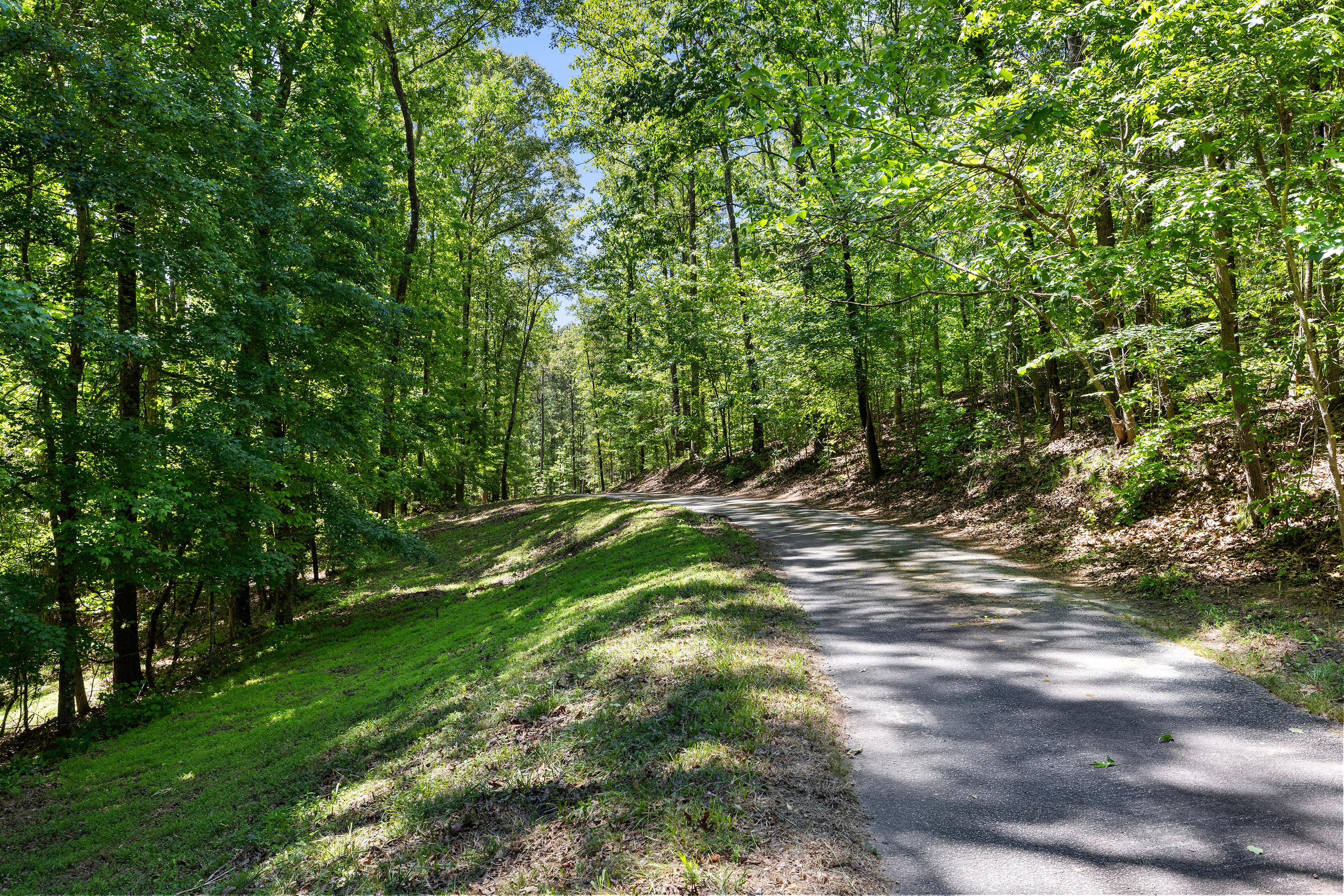  A Perfect Blend of Privacy and Natural Beauty in Newnan - 物件實景