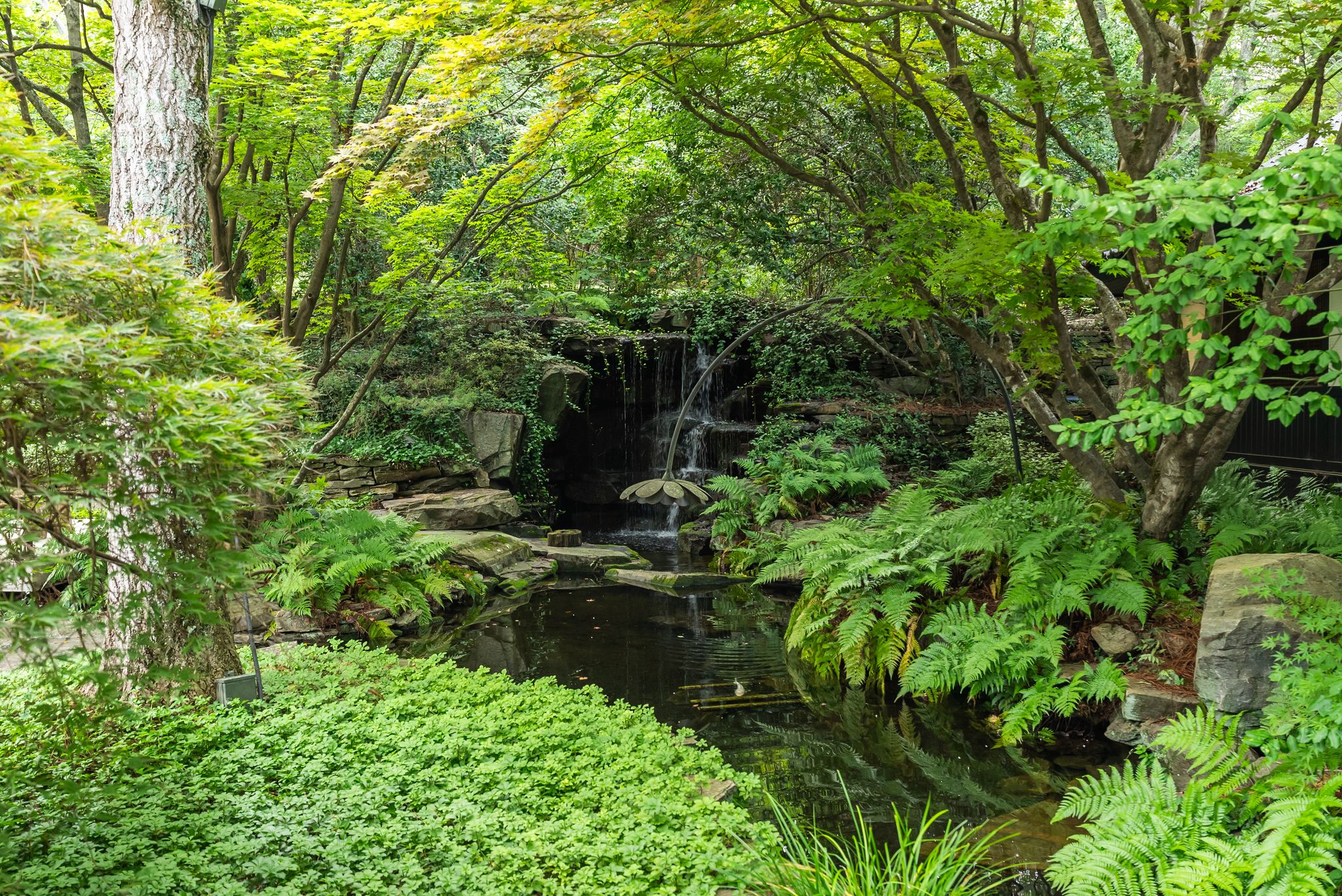  110 Huckleberry Ridge, Greenville, SC 29609 - 物件實景