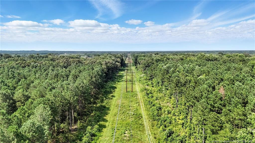 Wade, North Carolina, 28395, United States, ,Land,For Sale,1891652