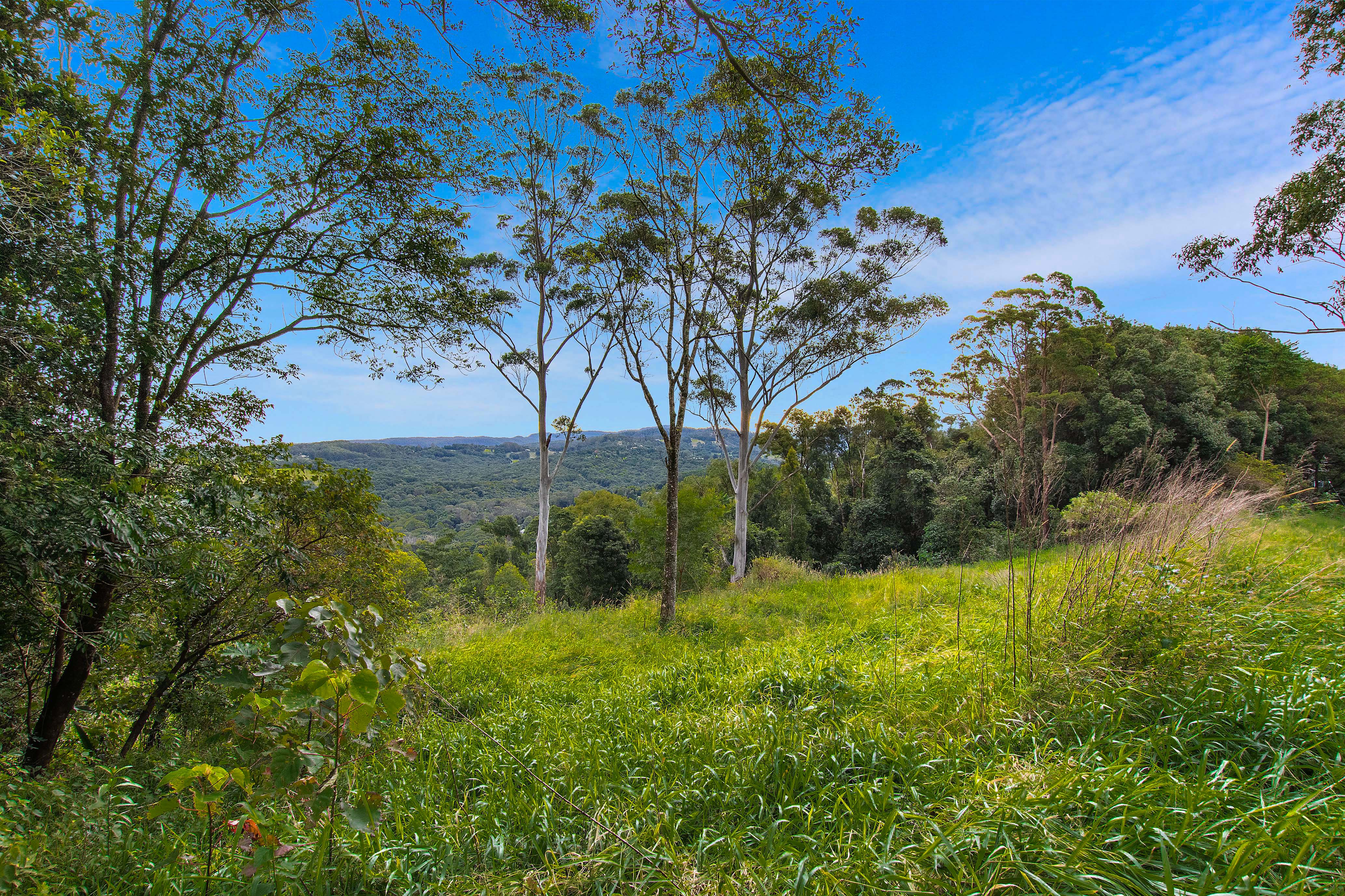  43 Newes Road, Coorabell - 物件實景
