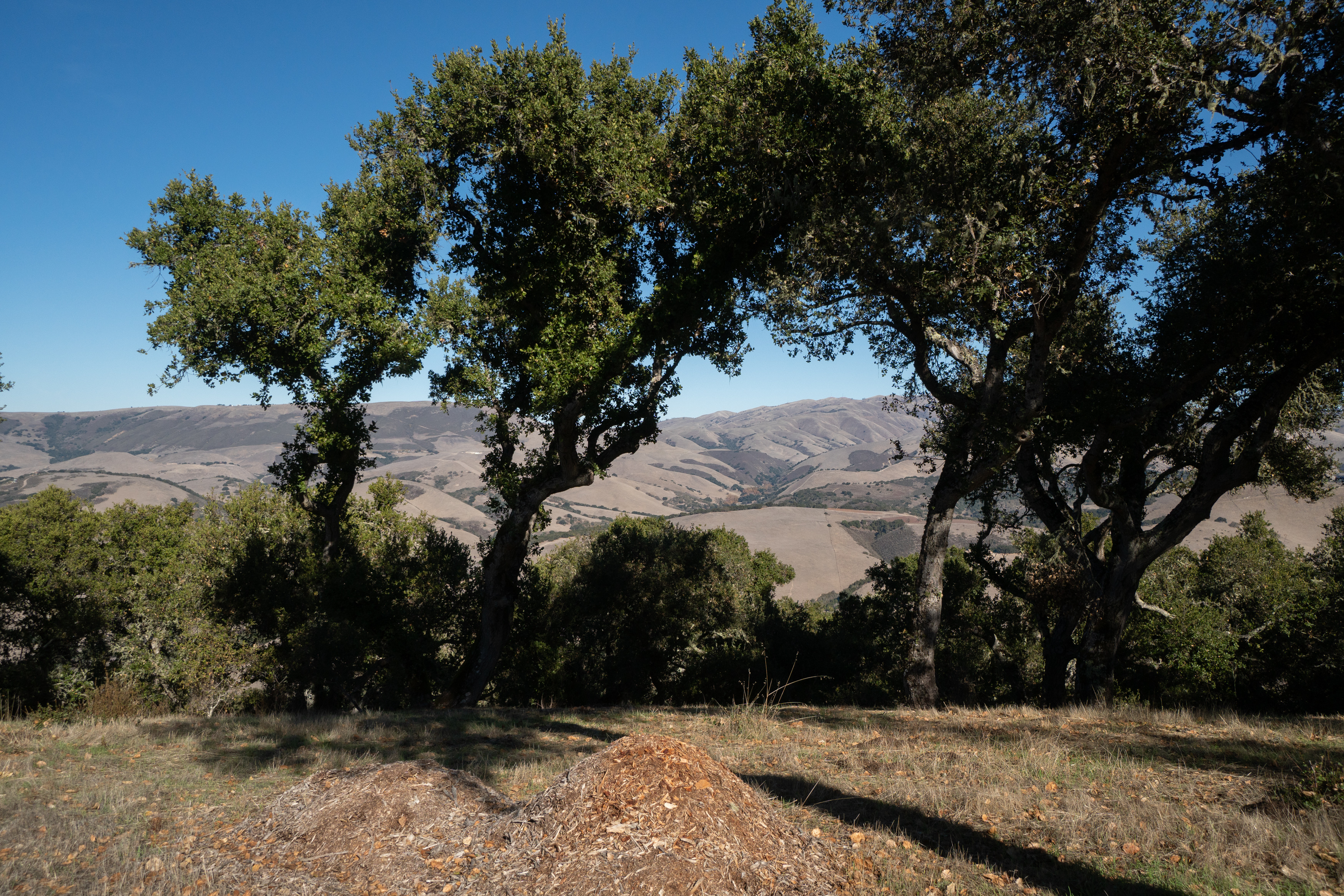  17114 Cachagua Road - 物件實景