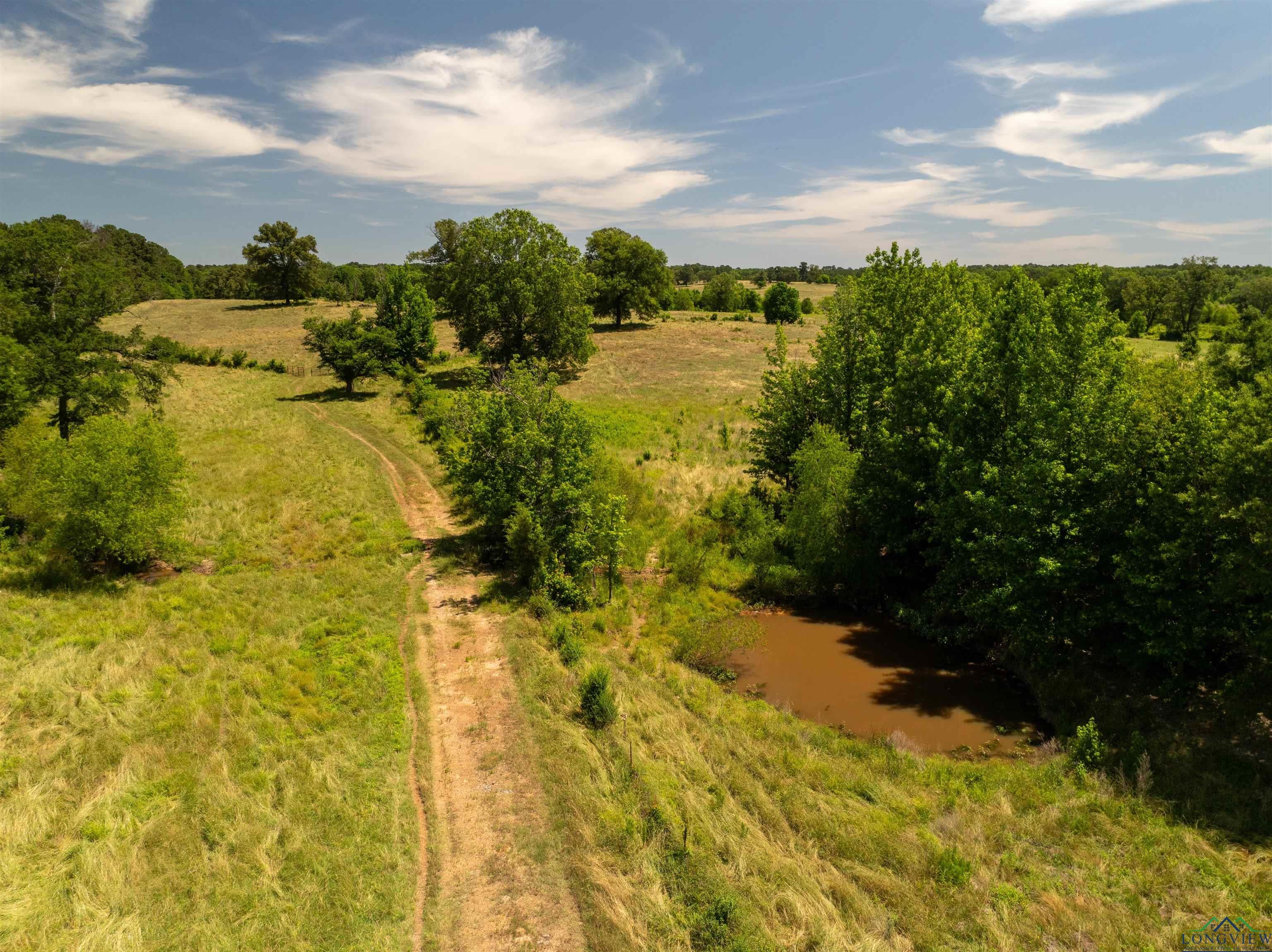 7557 FM 248, Lodi, Texas, 75564, United States, ,Residential,For Sale,7557 FM 248,1614560