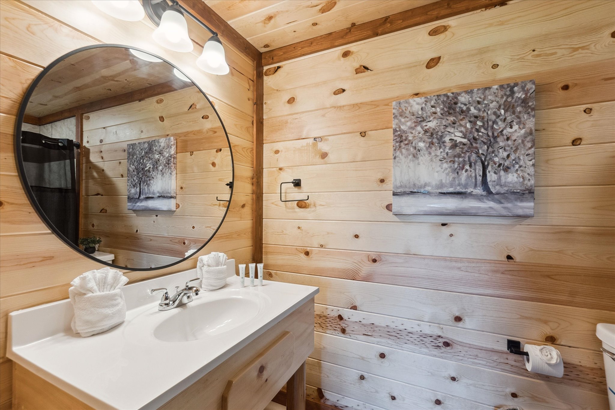 Sevierville, Tennessee, 37876, United States, 8 Bedrooms Bedrooms, ,9 BathroomsBathrooms,Residential,For Sale,1981124