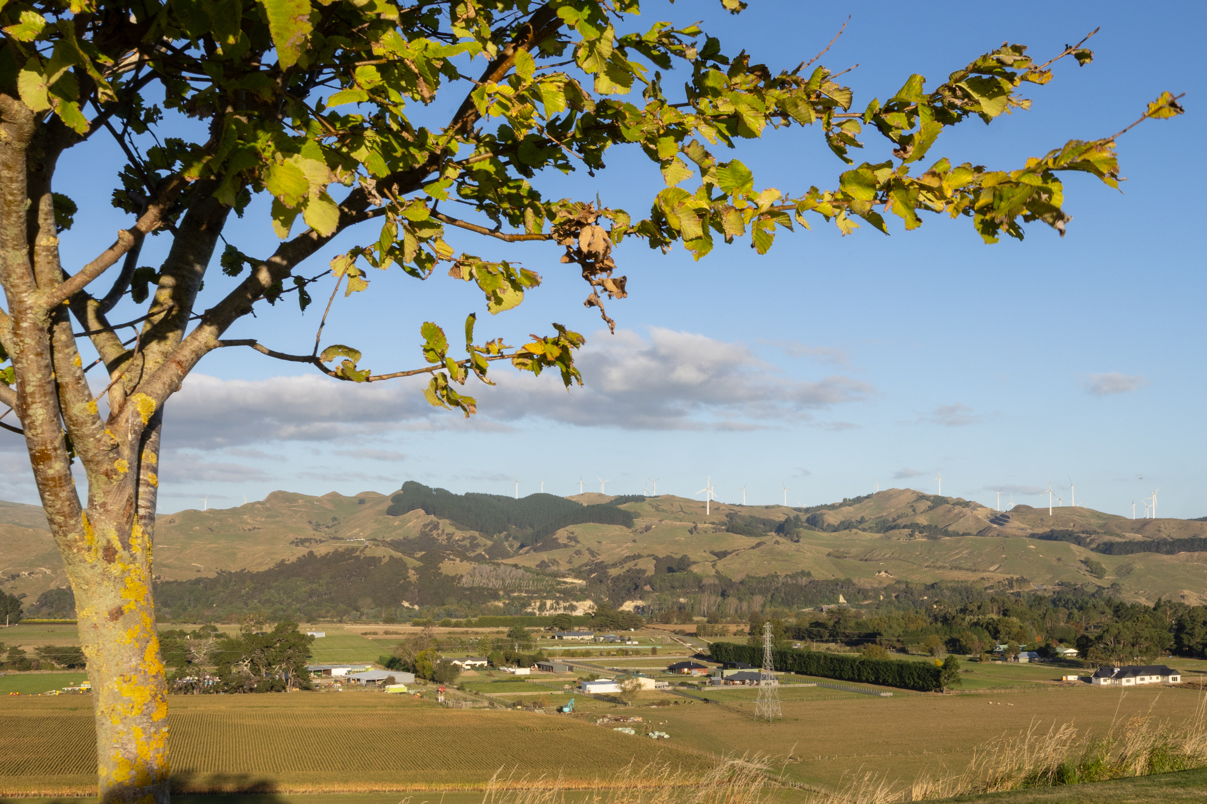  Uninterrupted Views – New Executive Living - 物件實景