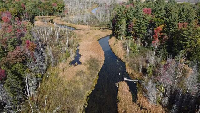 Branch, Michigan, 49402, United States, 5 Bedrooms Bedrooms, ,4 BathroomsBathrooms,Residential,For Sale,1986273