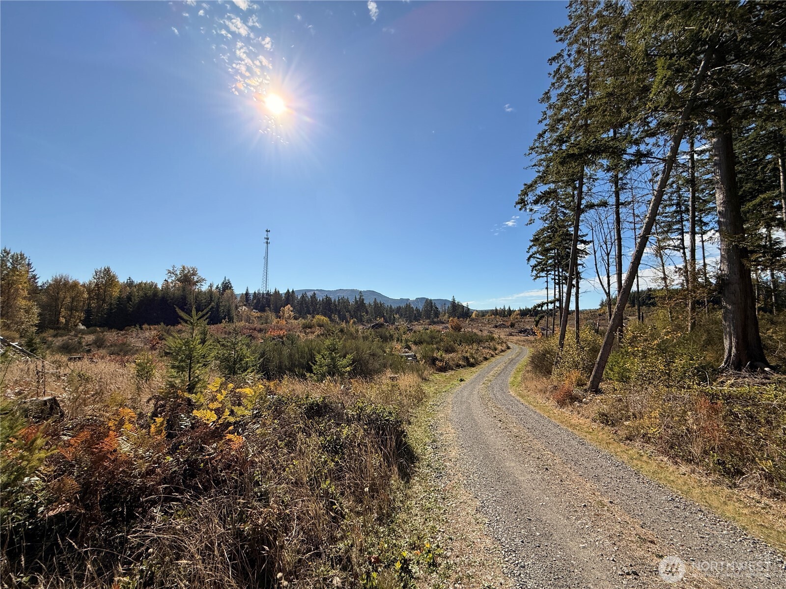 Rainier, Washington, 98576, United States, ,Land,For Sale,1998419