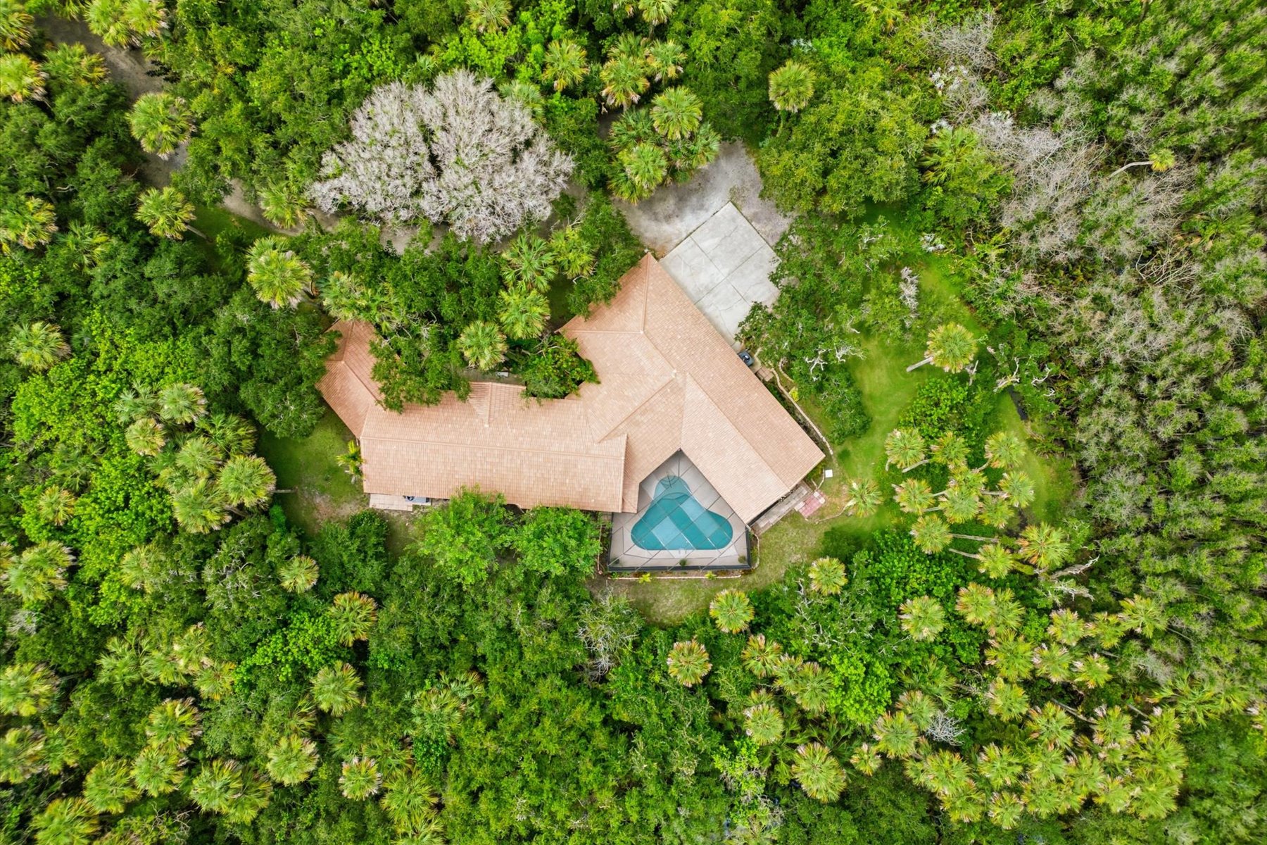  6204 Leeward Lane, Melbourne Beach, FL, 32951 - 物件實景