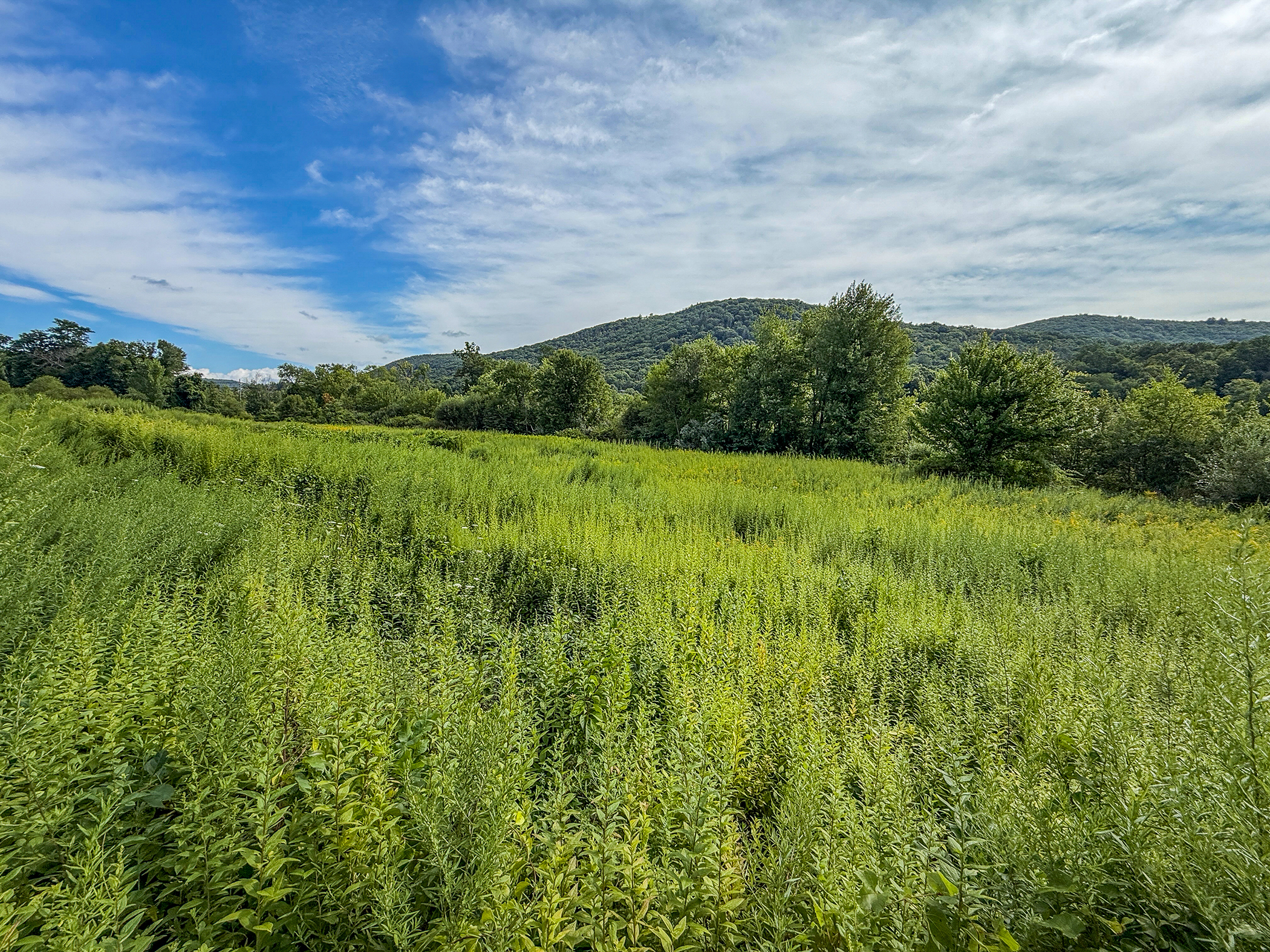  Spooner Hill Road - 物件實景