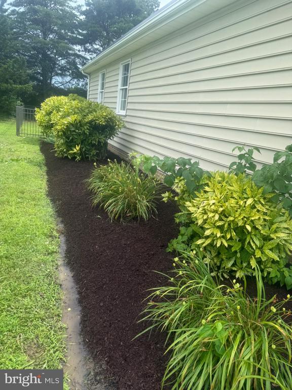 LEWES, Delaware, 19958, United States, 4 Bedrooms Bedrooms, ,2 BathroomsBathrooms,Residential,For Sale,1981590