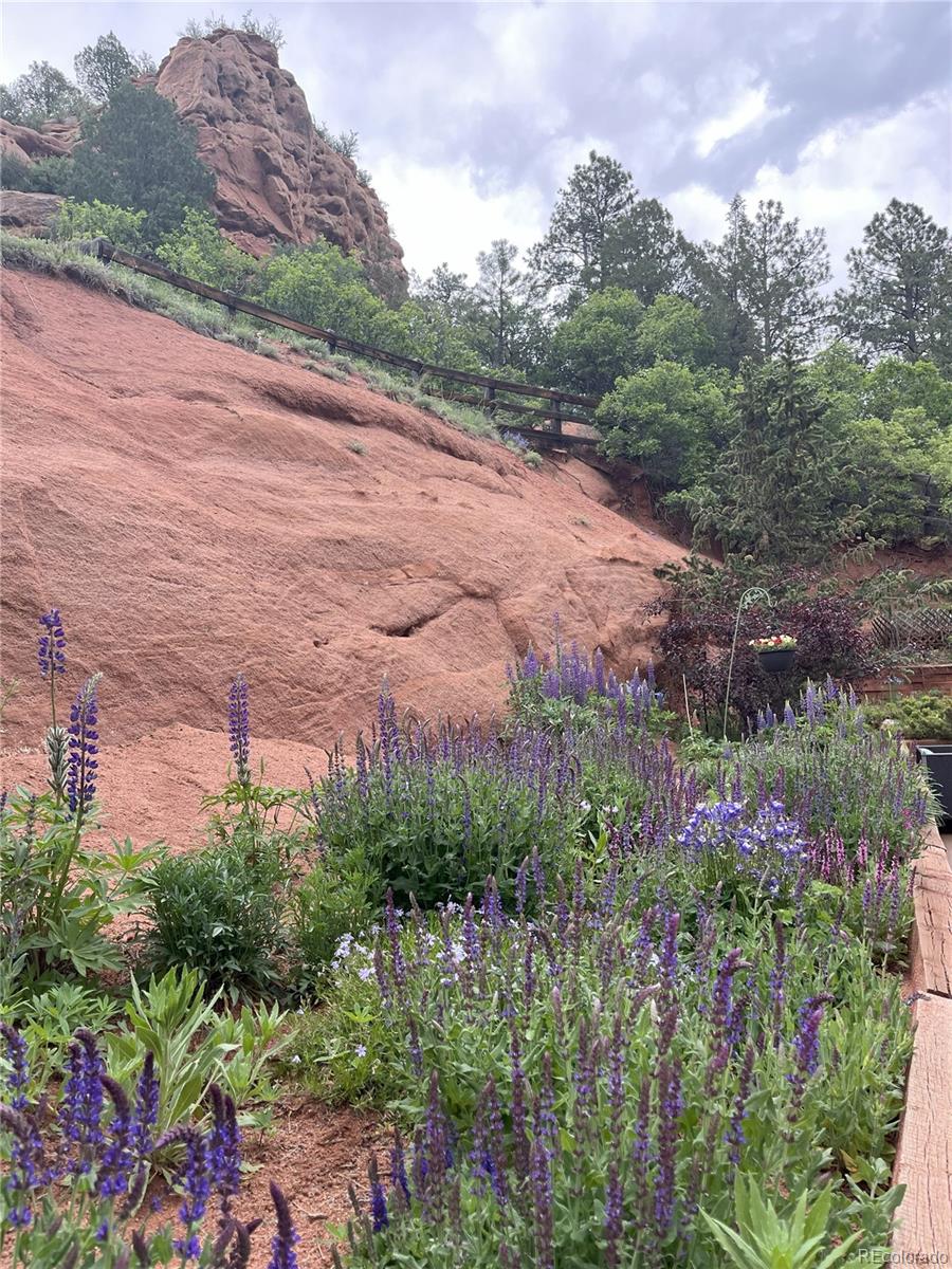 Larkspur, Colorado, 80118, United States, 2 Bedrooms Bedrooms, ,2 BathroomsBathrooms,Residential,For Sale,1924756