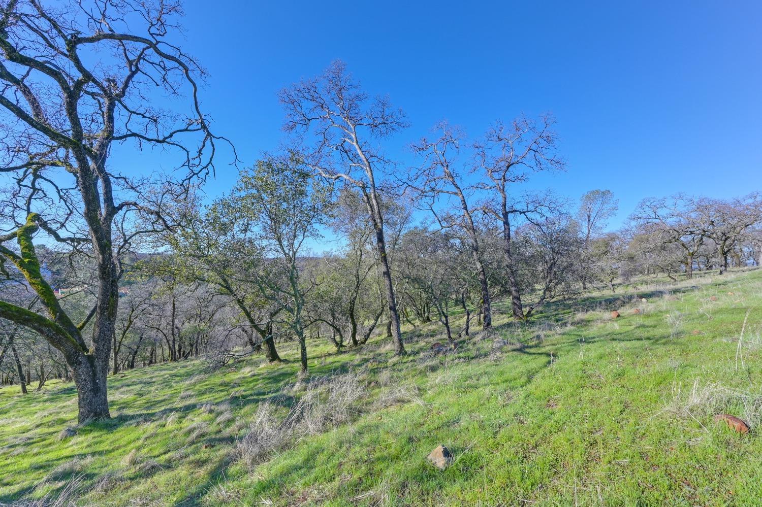 El Dorado Hills, California, 95762, United States, ,Land,For Sale,1994475