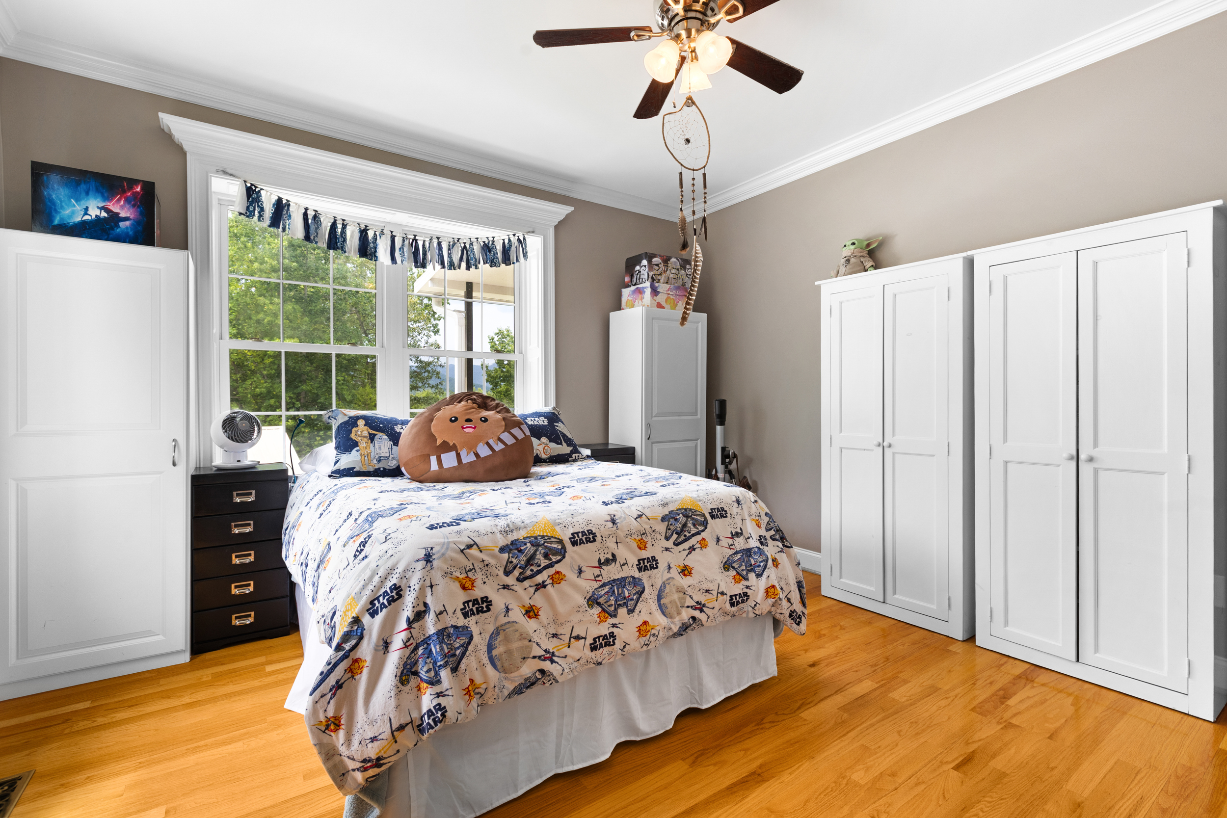  3765 South Carolina 11, Pickens, SC 29671 - 物件實景
