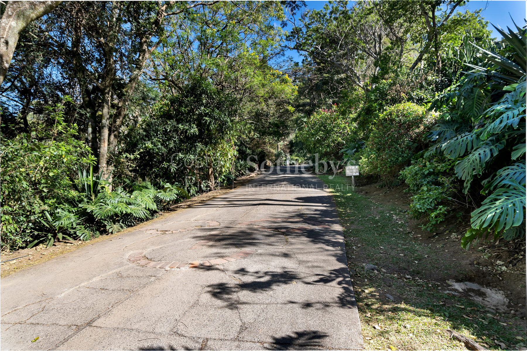  Best Deal Lot In Condominuim Montaña del Sol - 物件實景