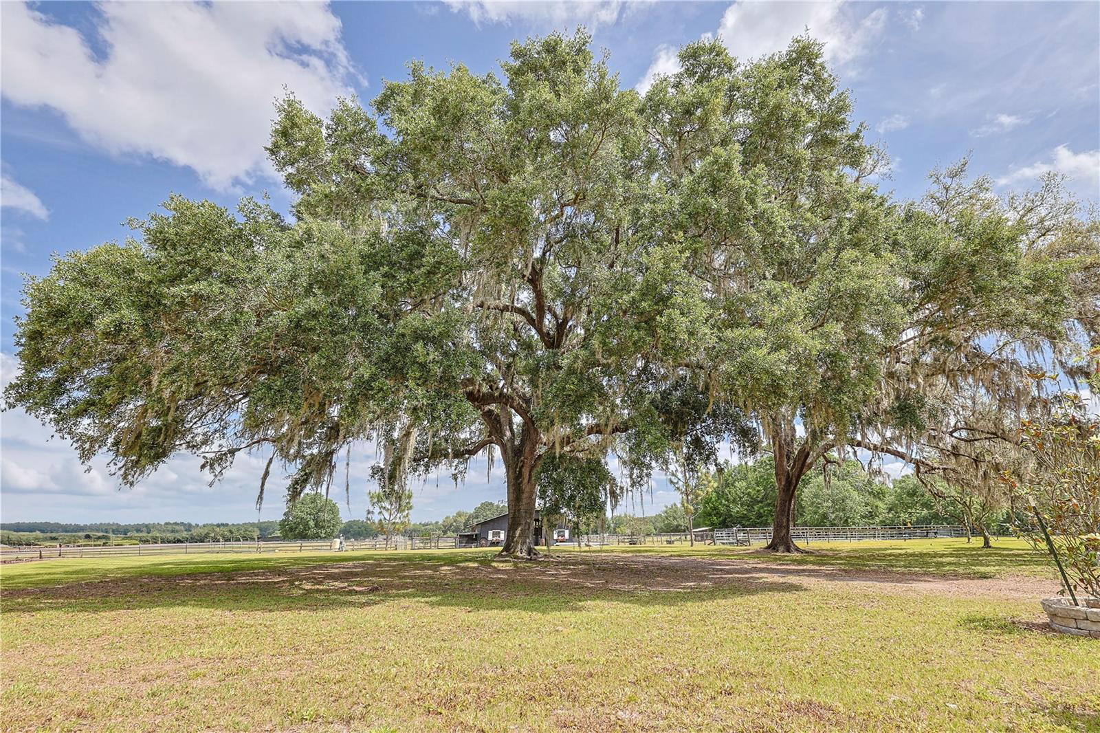 WEBSTER, Florida, 33597, United States, 4 Bedrooms Bedrooms, ,3 BathroomsBathrooms,Residential,For Sale,1793713