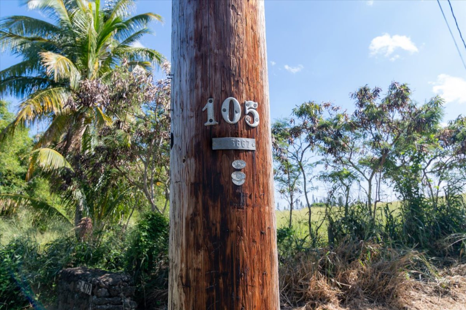 Kapaau, Hawaii, 96755, United States, ,Land,For Sale,2005975