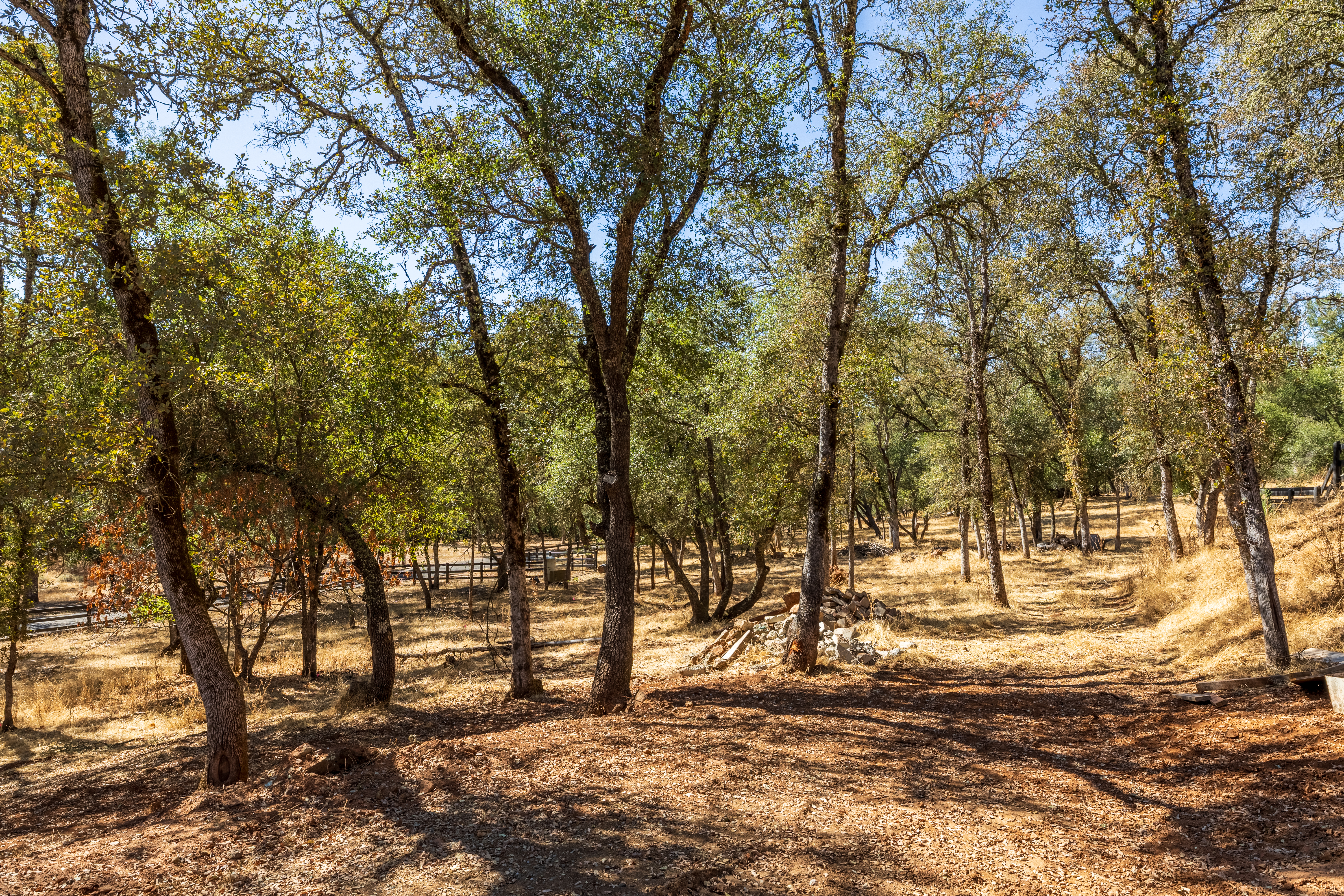  1400 Crooked Mile Court, Placerville, CA 95667 - 物件實景