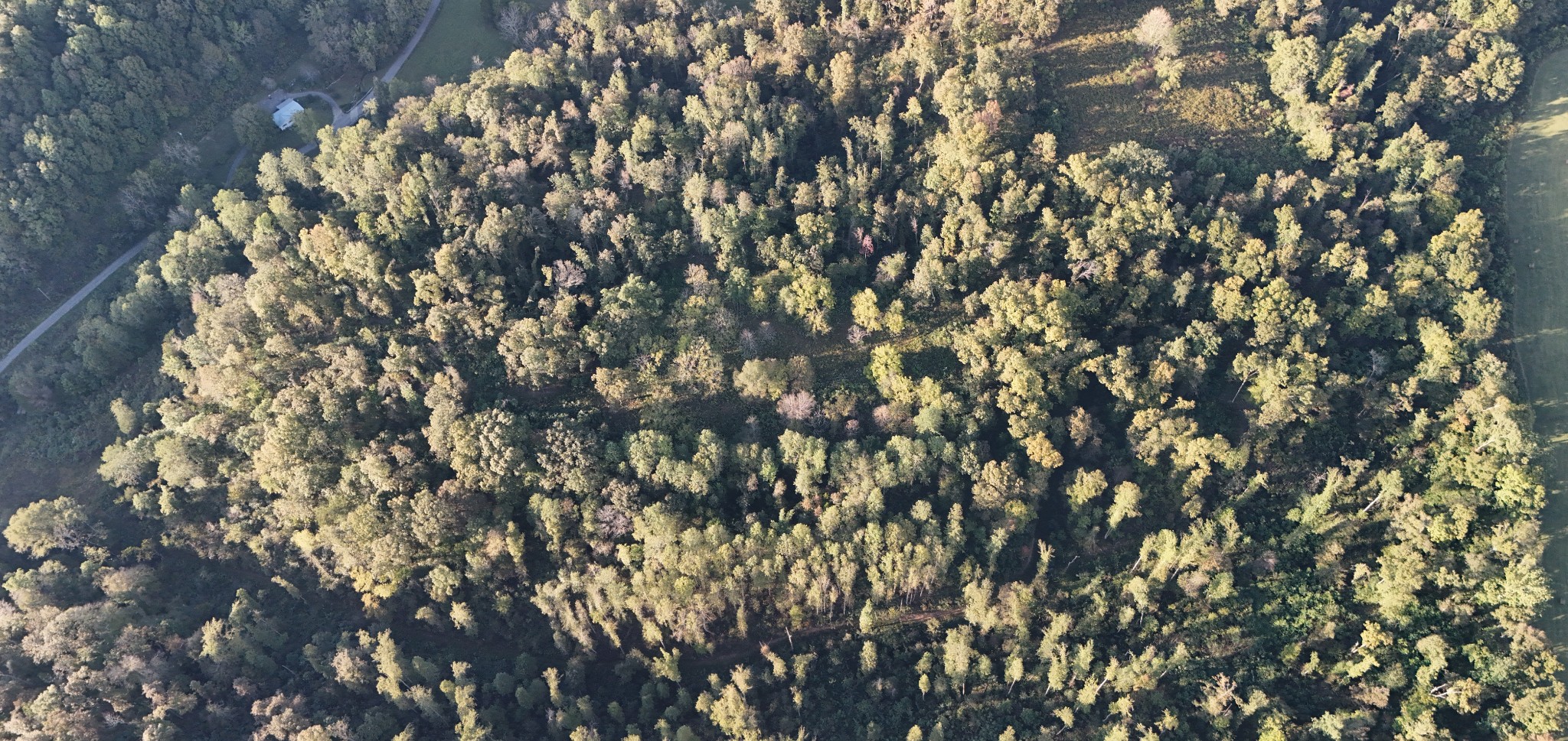 Lynchburg, Tennessee, 37388, United States, ,Land,For Sale,1982223