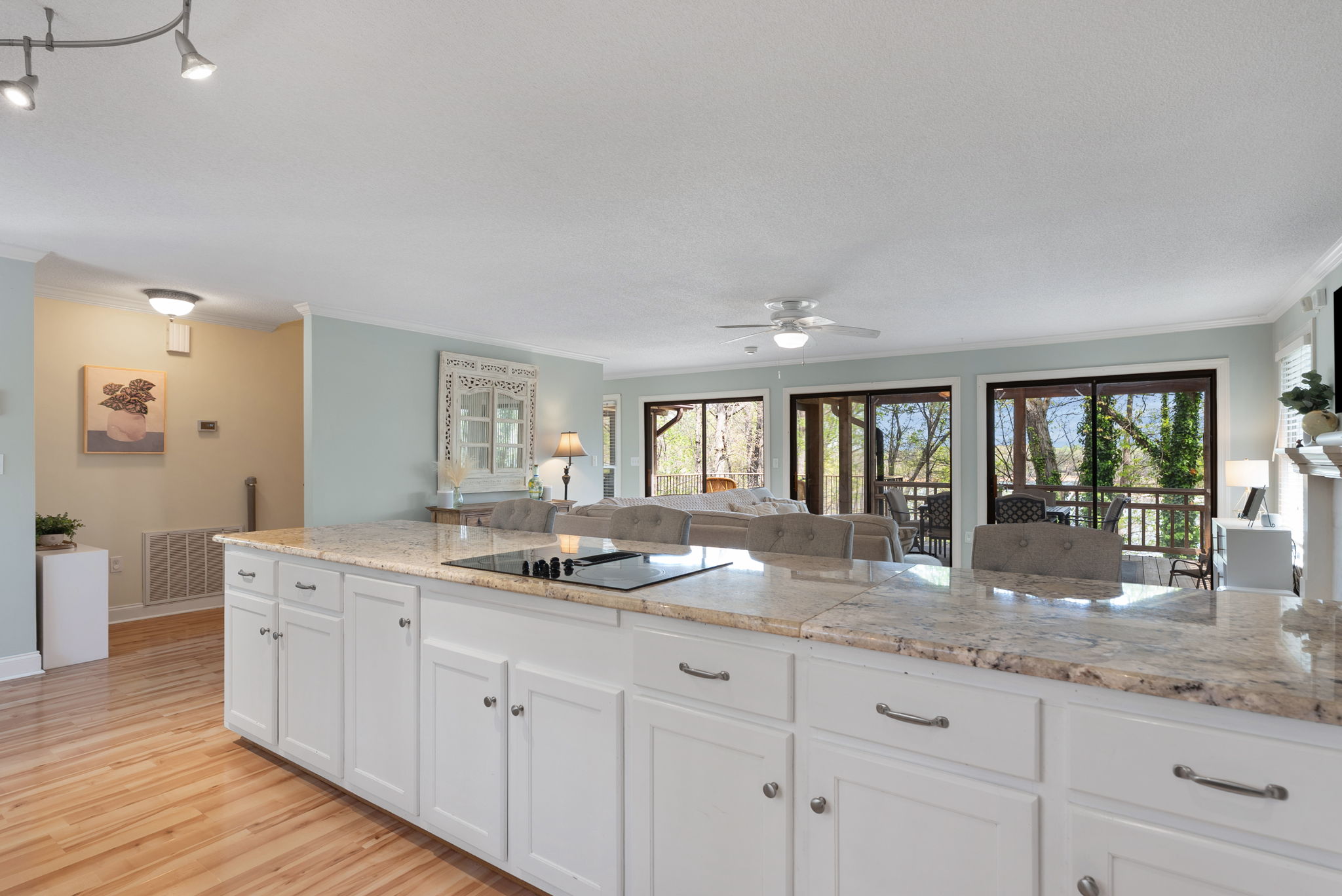  1002 Whitfield Point Road, Anderson, SC 29626 - 物件實景