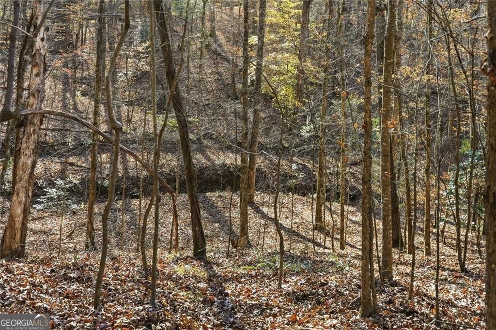 Jasper, Georgia, 30143, United States, ,Land,For Sale,1996551