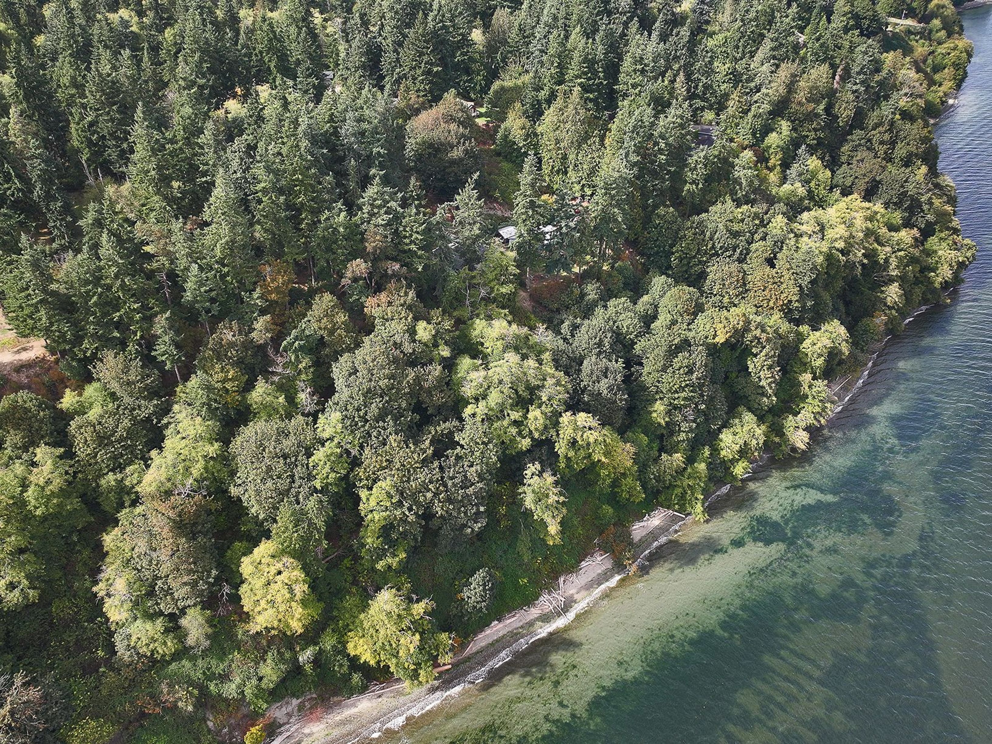  XXX Waterside Lane, Langley, WA 98260 - 物件實景
