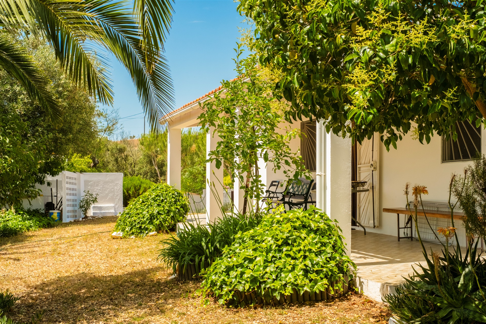  Farm, 4 bedrooms, for Sale - 物件實景