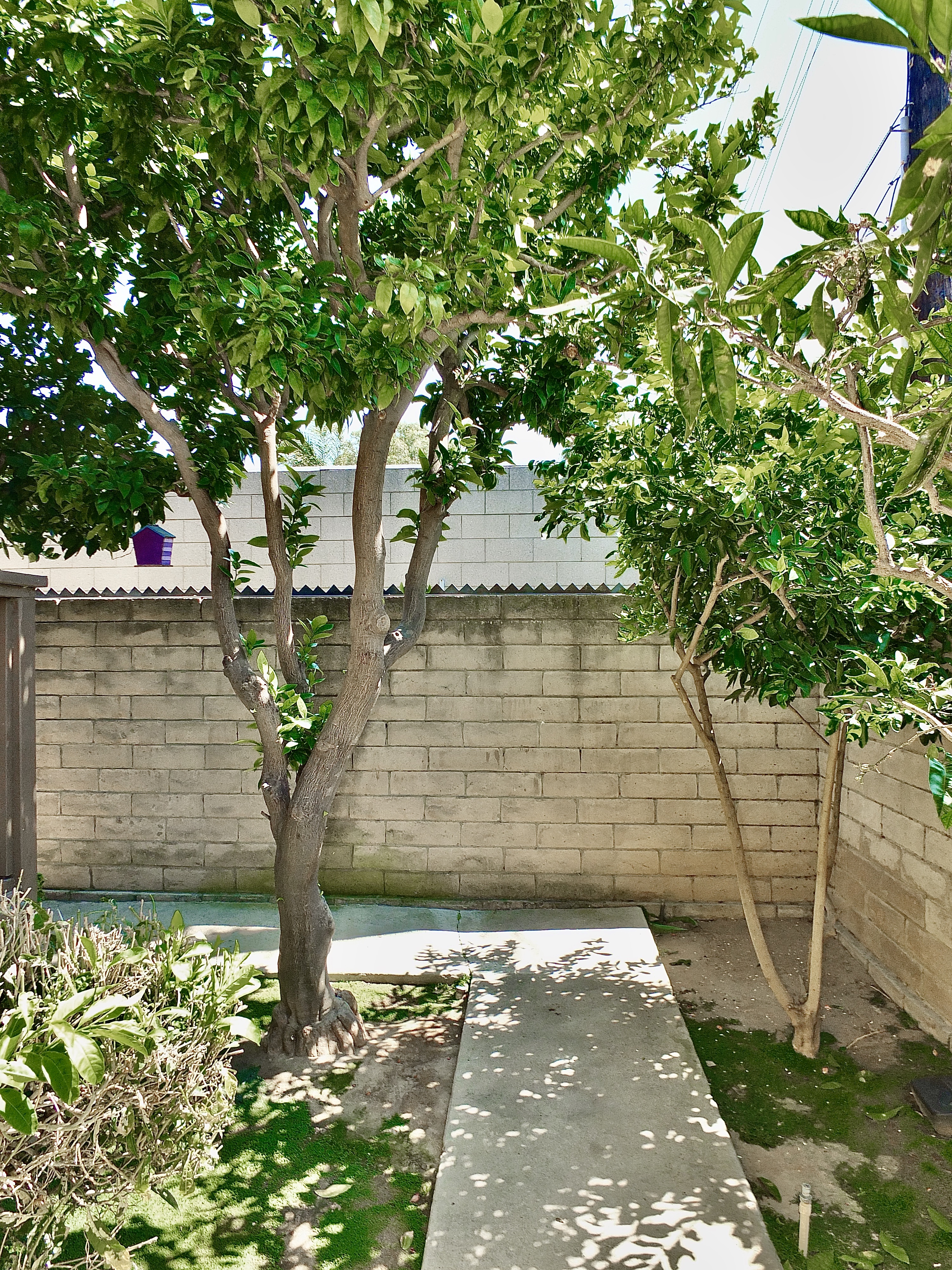 Gardena, California, 90247, United States, 2 Bedrooms Bedrooms, ,3 BathroomsBathrooms,Residential,For Sale,1905647