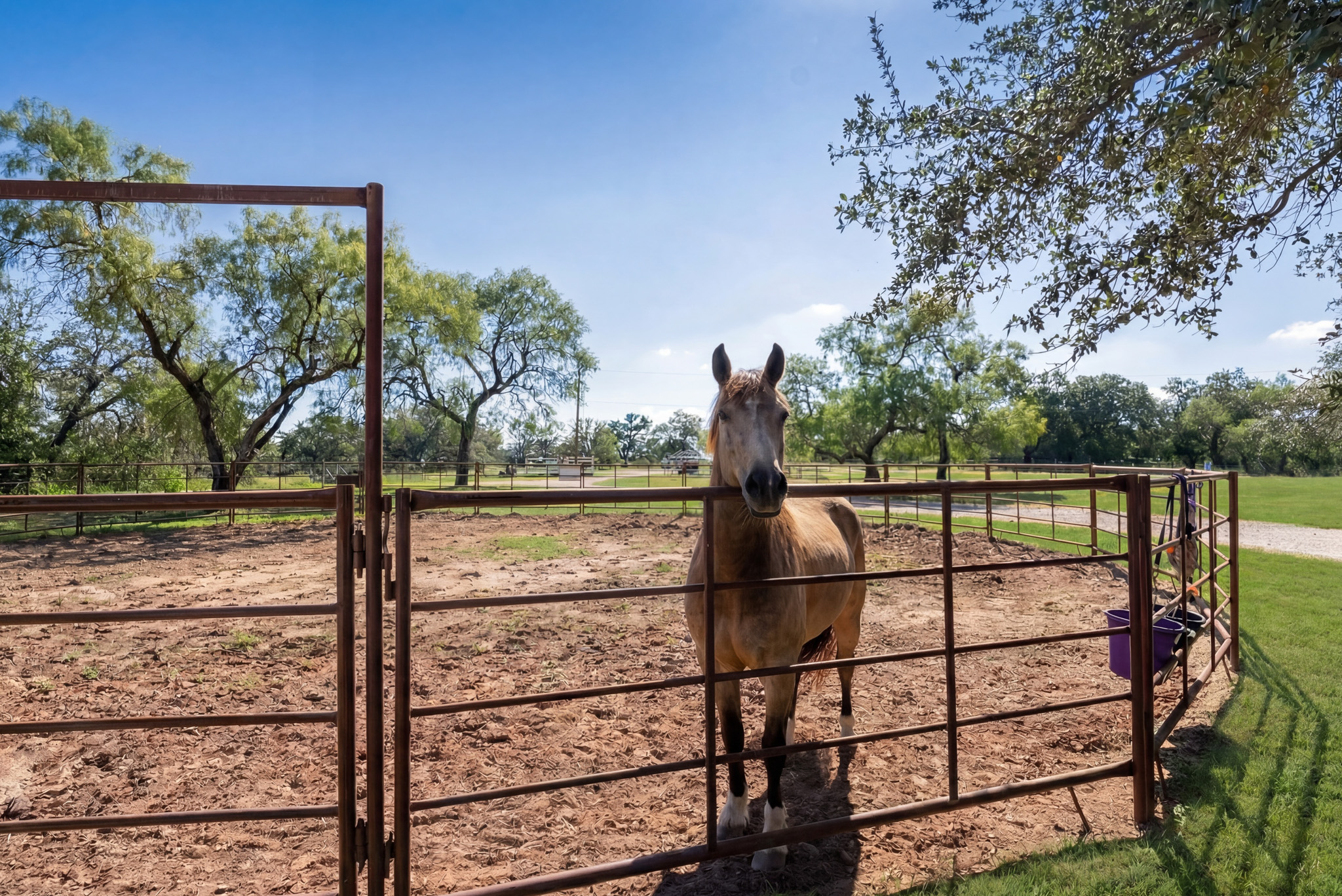  Private 10-Acre Horse Property in Lytle - 物件實景