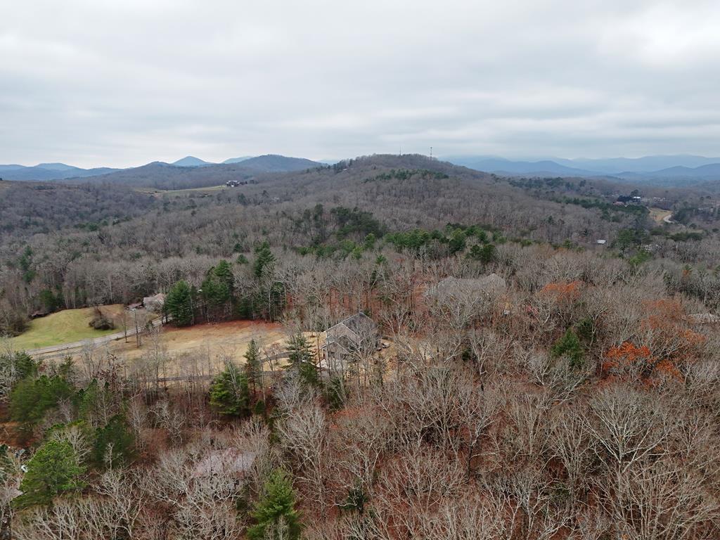 Blue Ridge, Georgia, 30513, United States, ,Land,For Sale,1859049