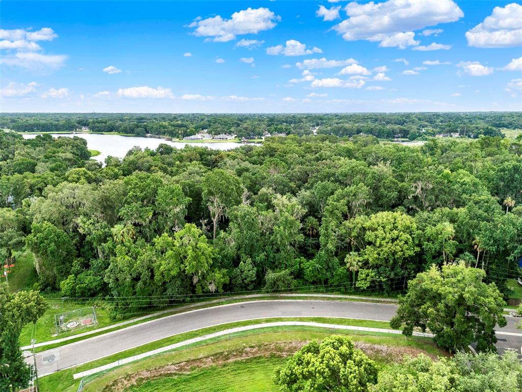 Apopka, Florida, 32712, United States, ,Land,For Sale,1891434