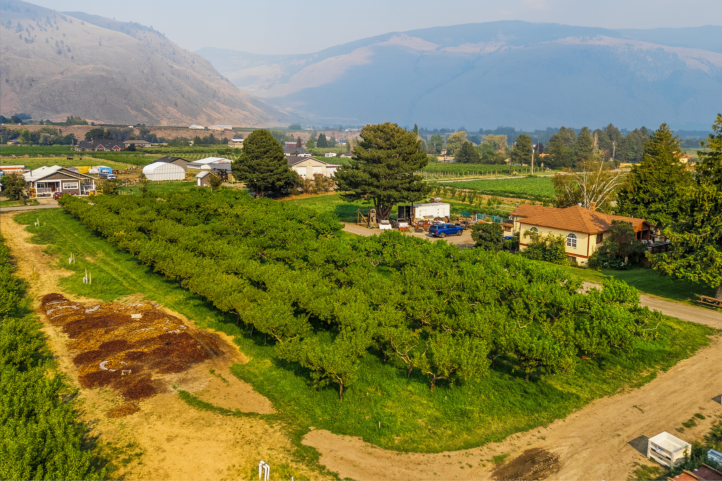  Home on an Organic Farm - 物件實景