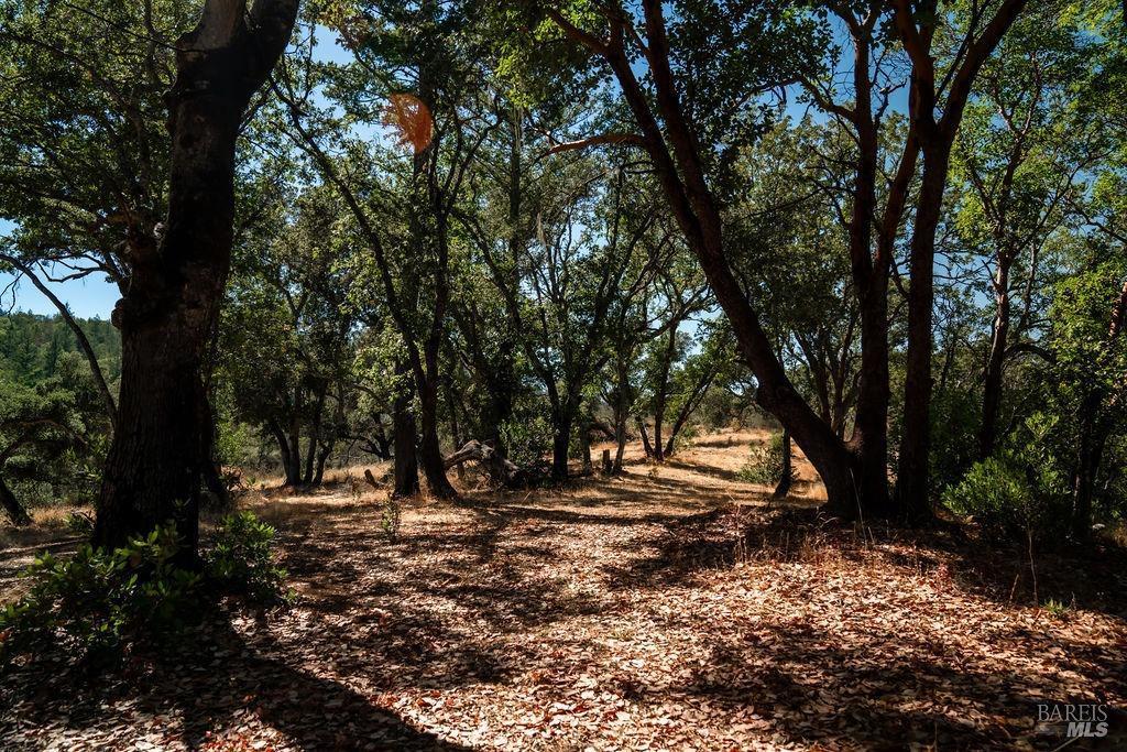 St. Helena, California, 94574, United States, ,Residential,For Sale,1846631