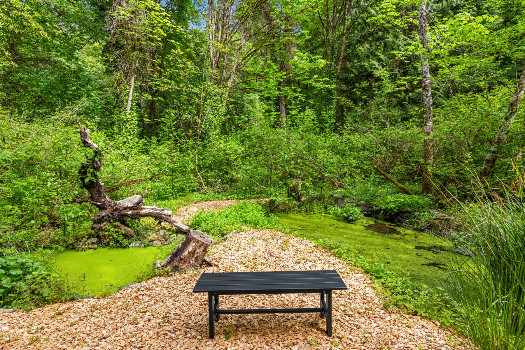  9720 NE Lofgren Rd, Bainbridge Island, WA 98110 - 物件實景