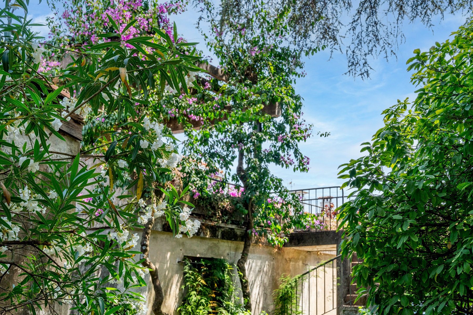  Detached house, 5 bedrooms, for Sale - 物件實景