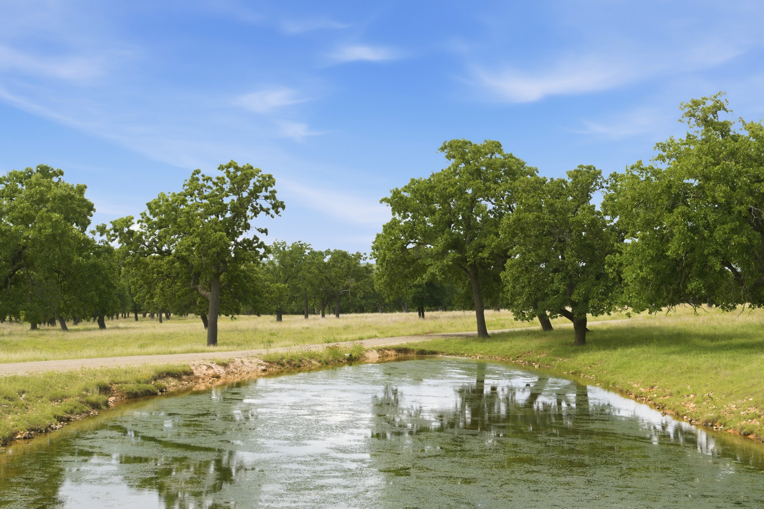  CavaLoma Ranch in Kerr COunty - 物件實景
