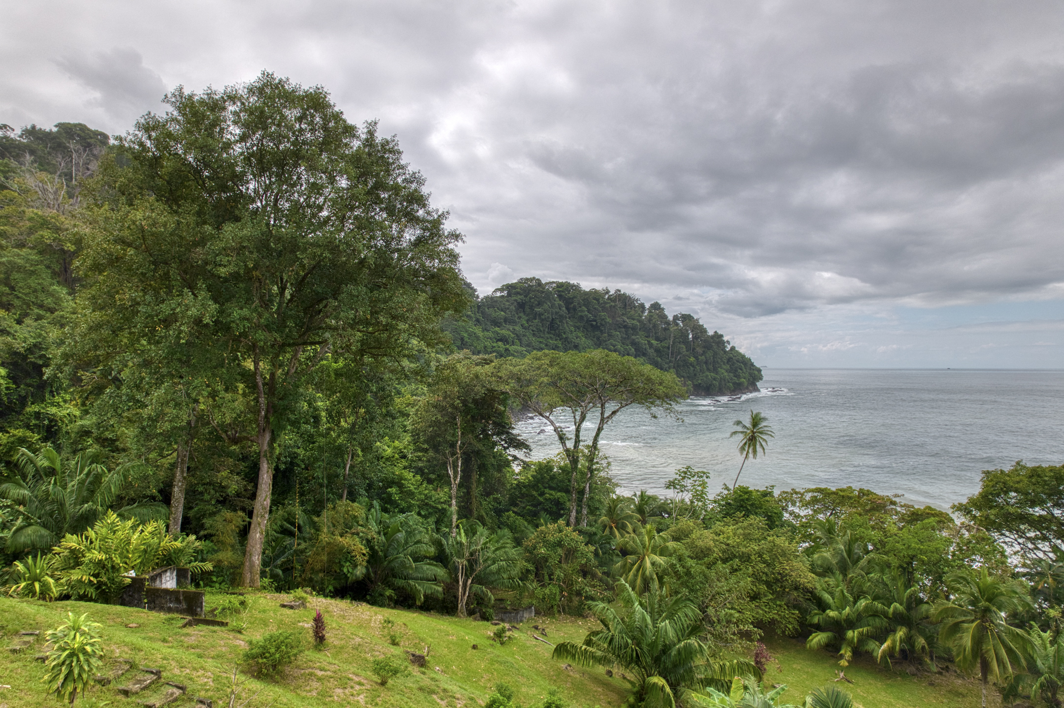 Dominical, Puntarenas, CR, ,Land,For Sale,1839872