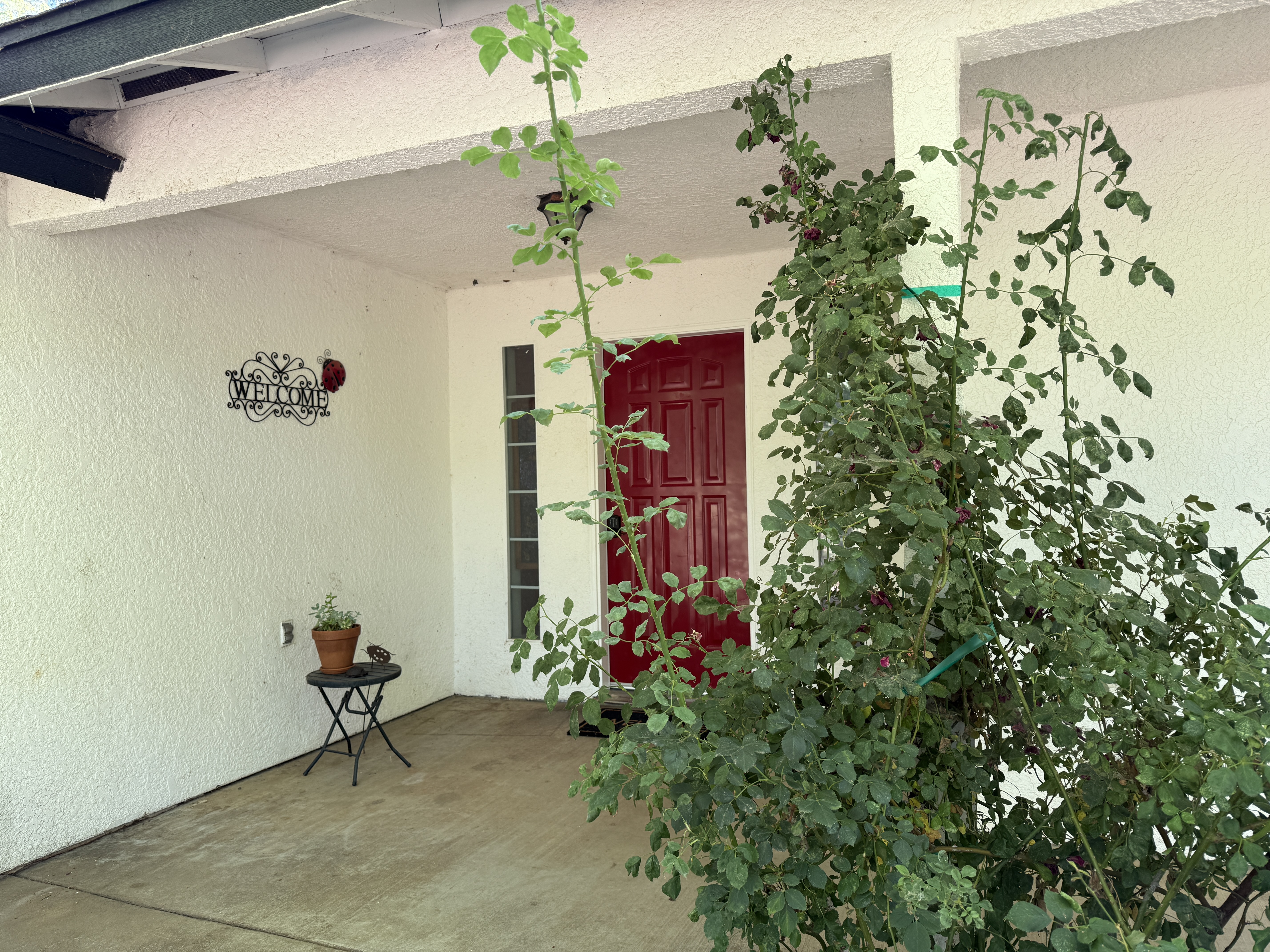 Mariposa, California, 95338, United States, 2 Bedrooms Bedrooms, ,2 BathroomsBathrooms,Residential,For Sale,1983625