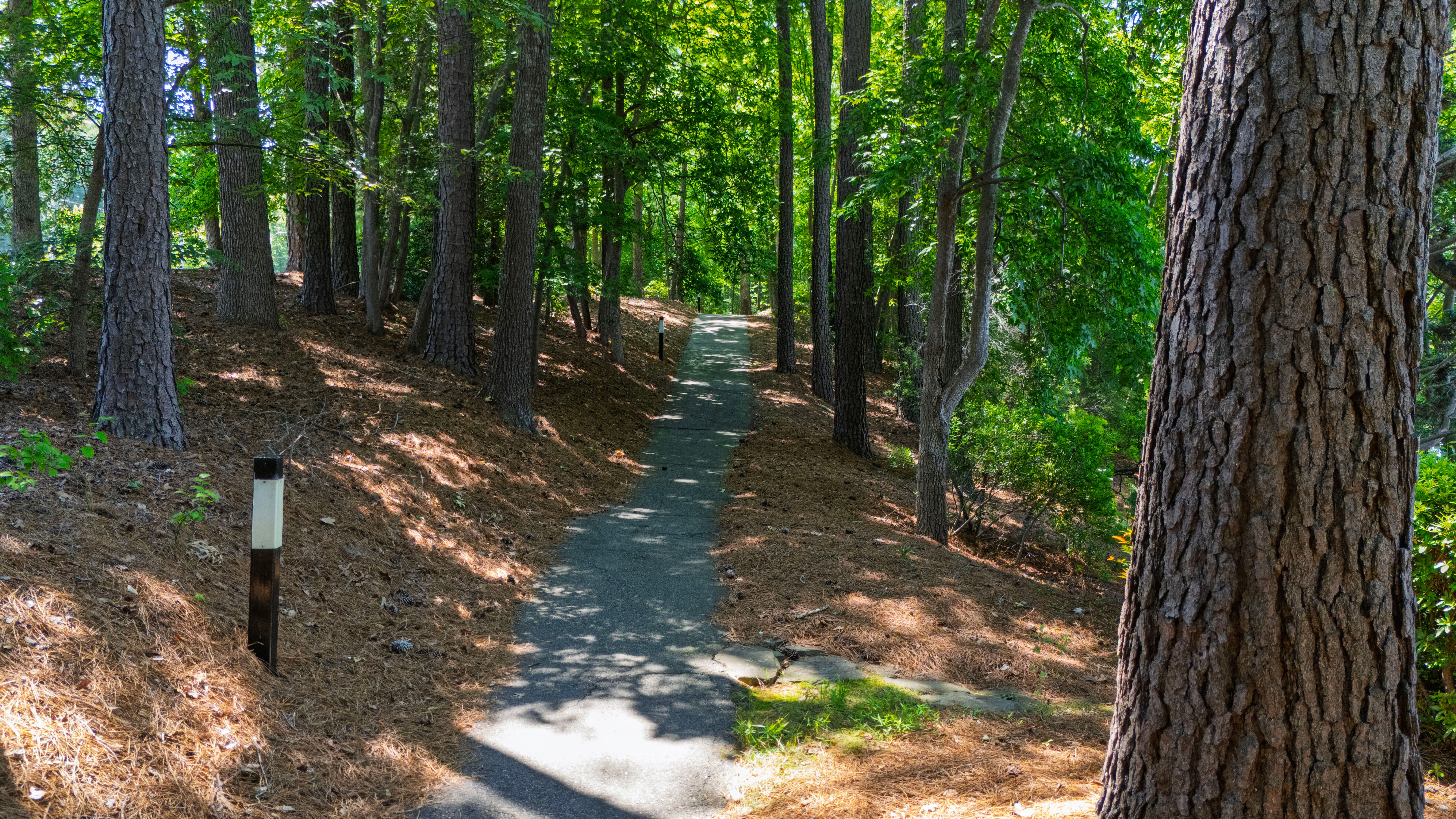  4804 Oaksong Court, Fuquay-Varina, NC 27526 - 物件實景