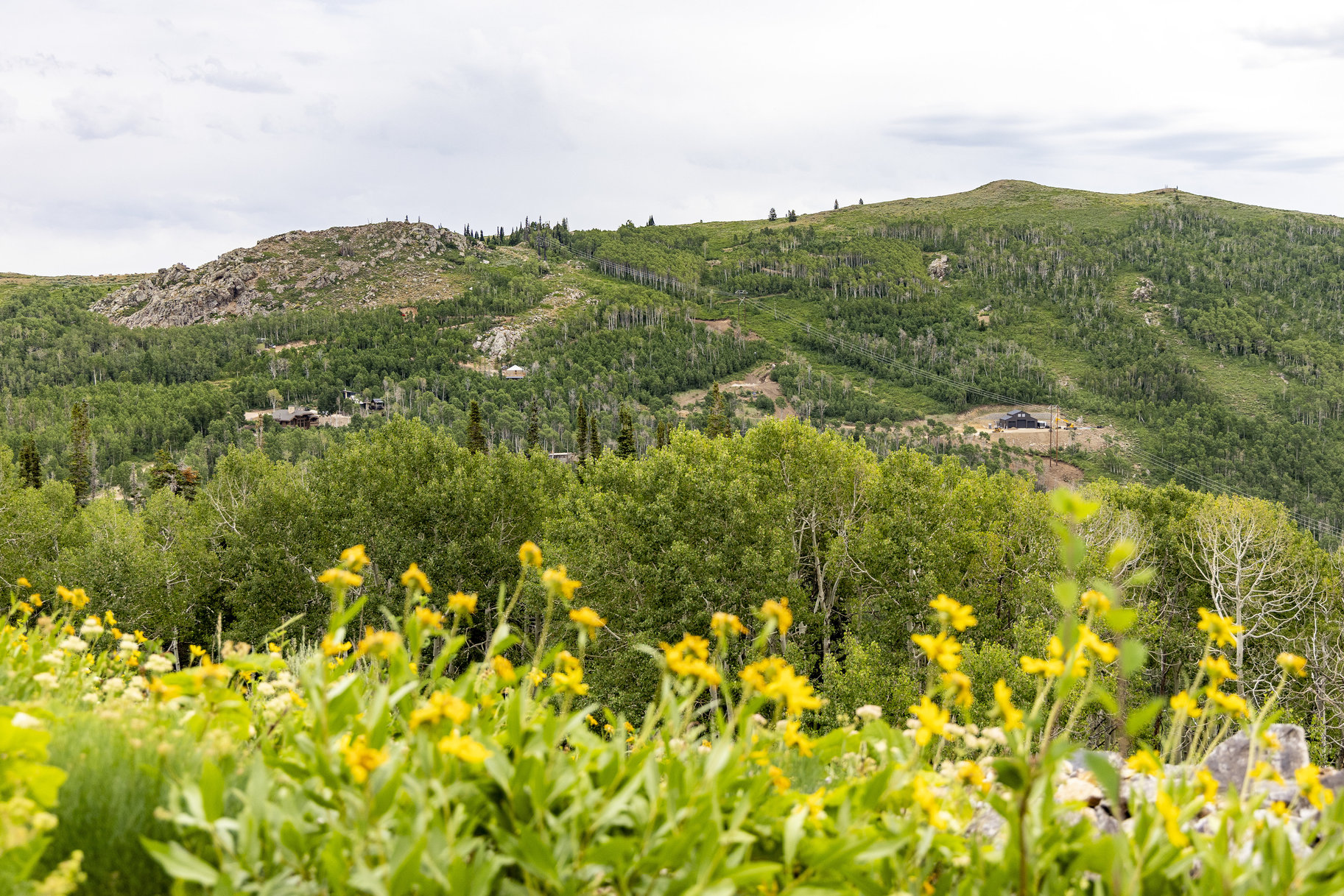  24 Acre Development Parcel in Bonanza Flats - 物件實景