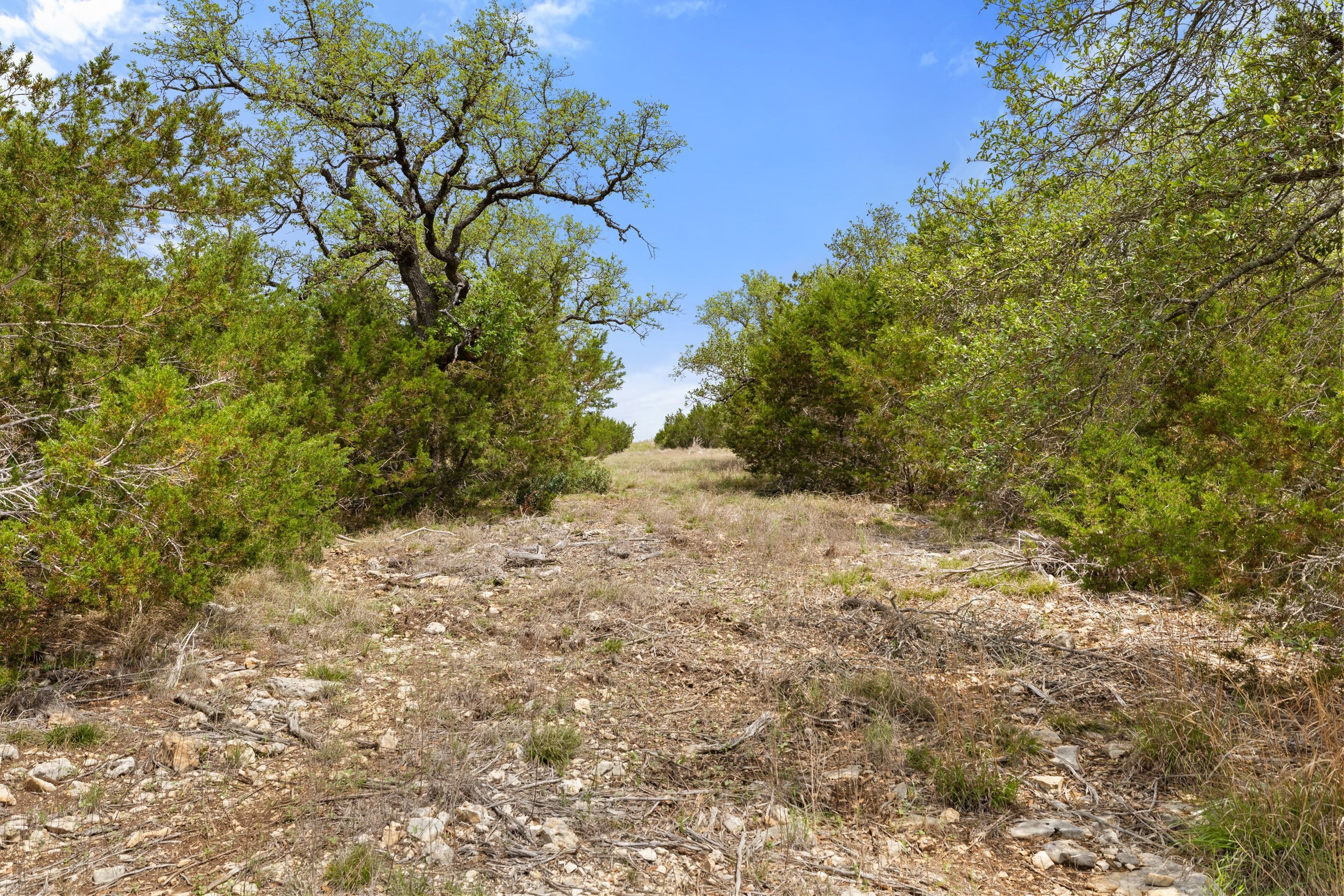  83 S Flat Rock Way - 5 Acre Lot in Gated Legacy Hills - 物件實景