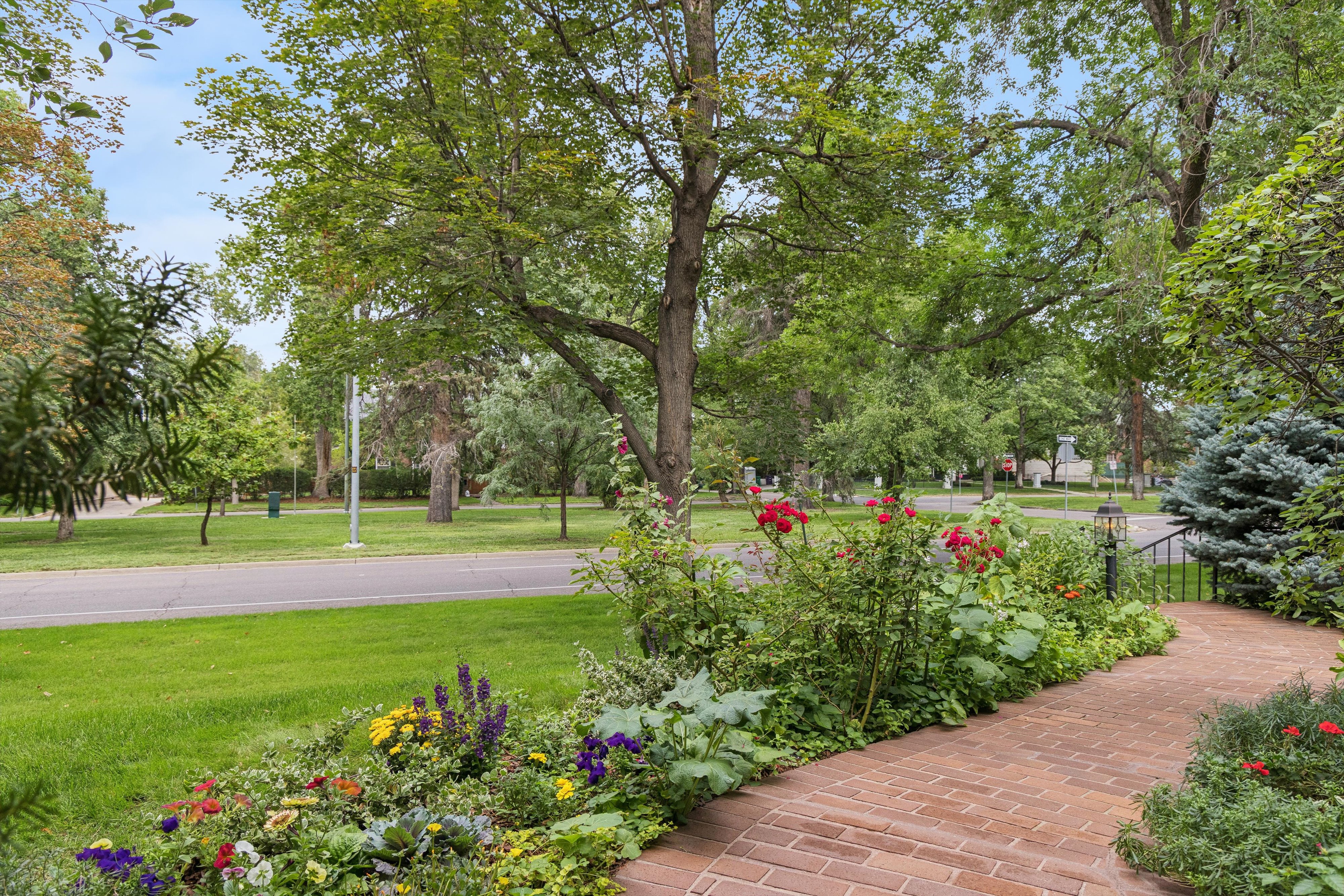  Rare Private Park Lot Near Cherry Creek with Sunroom Viking Kitchen & Spa Suite - 物件實景