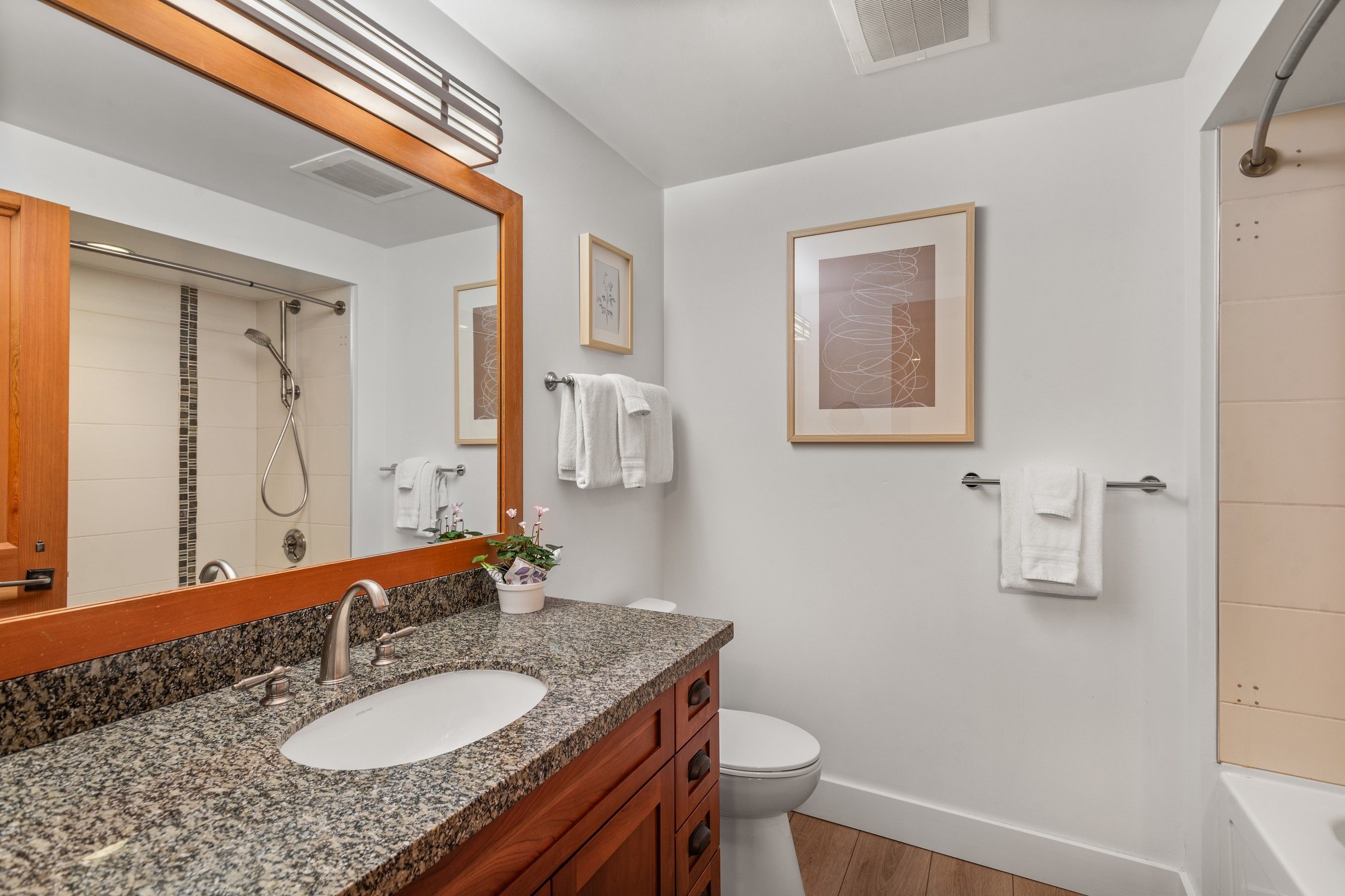  90 Carriage Way, Snowmass Village, CO, 81615 - 物件實景