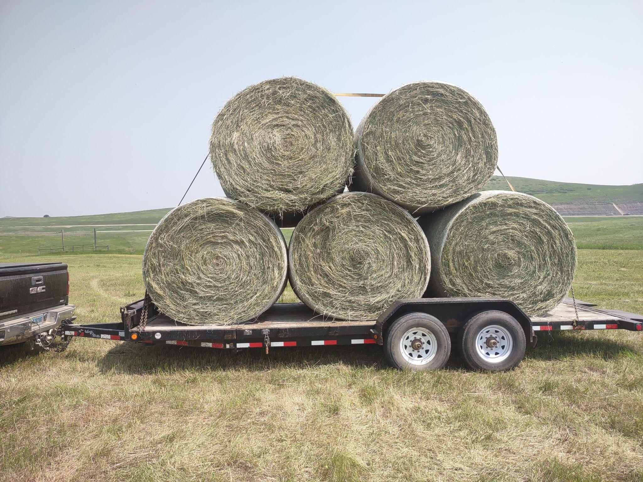 Sheridan, Wyoming, 82801, United States, 4 Bedrooms Bedrooms, ,2 BathroomsBathrooms,Residential,For Sale,2011372